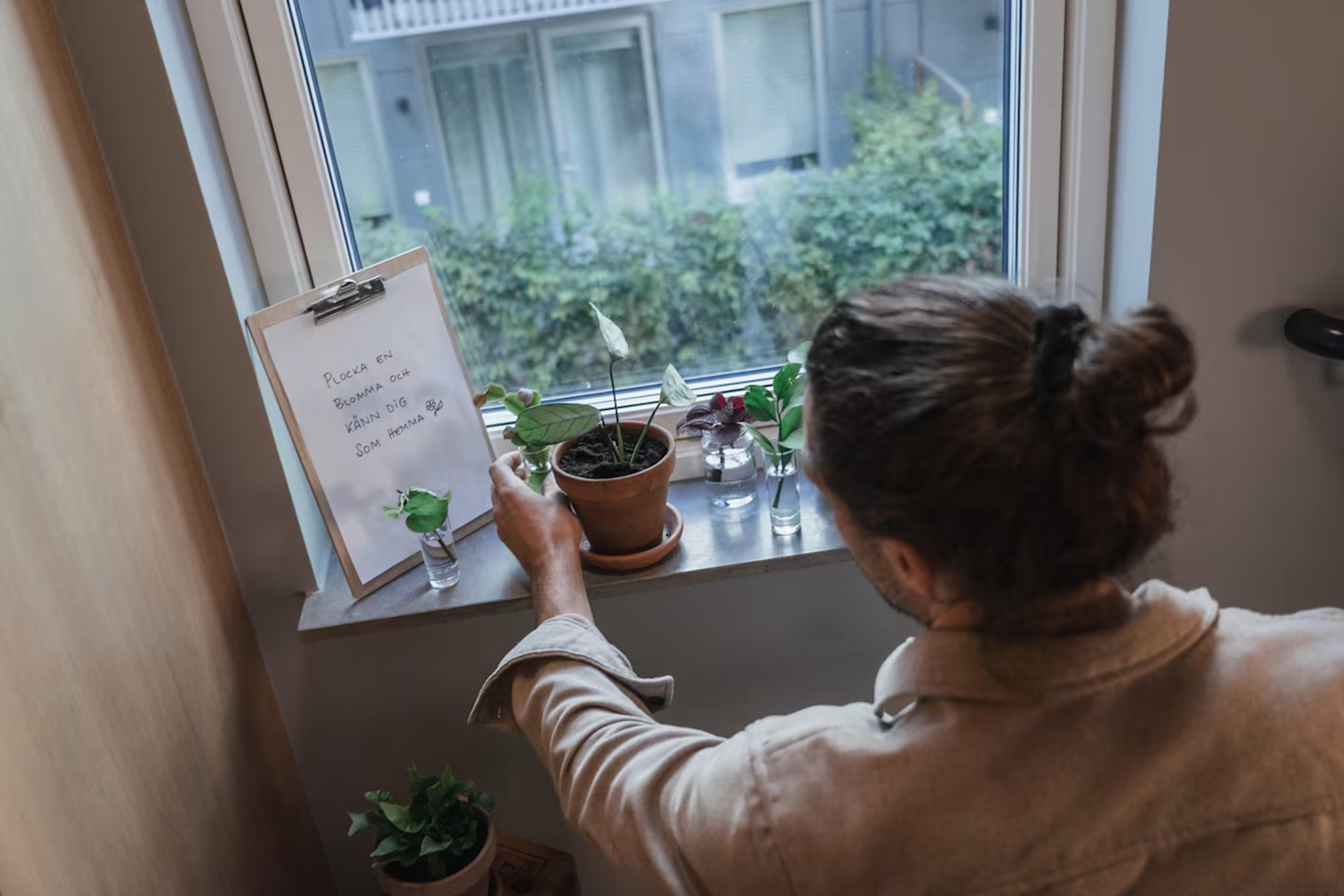 En kvinna sitter på en fönsterbräda och håller i en skrivplatta och en krukväxt.
