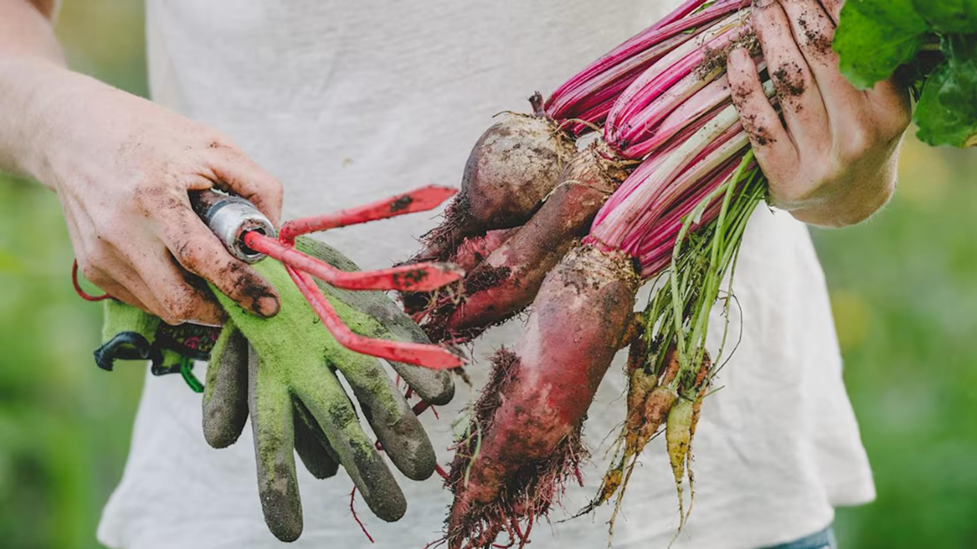 Kvinna med grönsaker