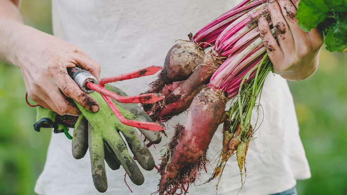 Kvinna med grönsaker