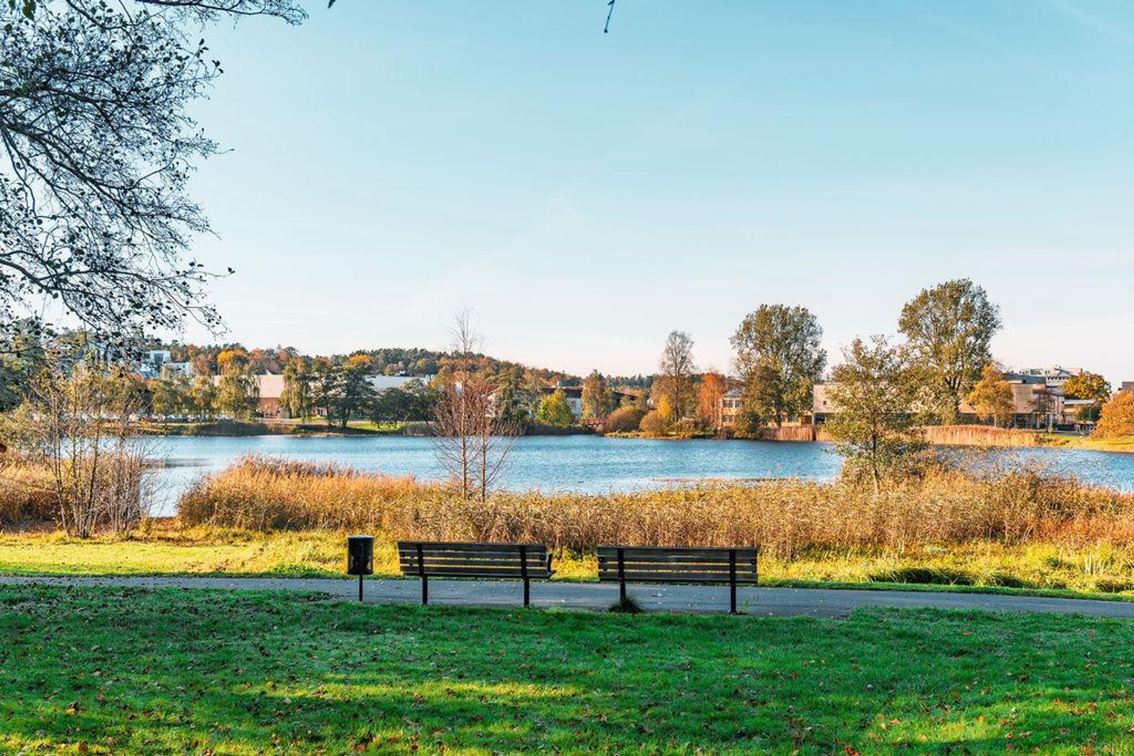 Parkbänk vy över Massetjärn
