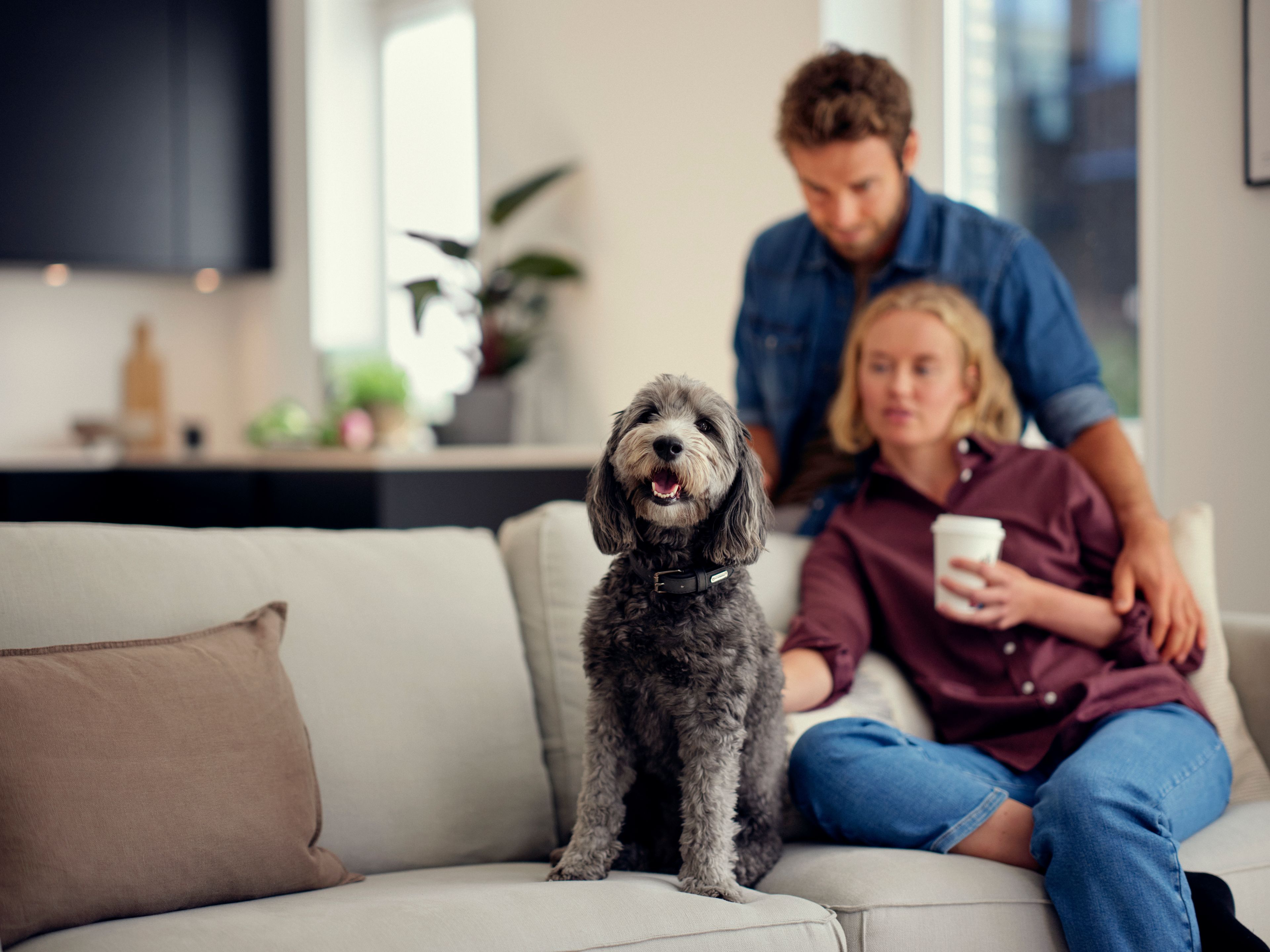 Par sittende i sofaen med hunden sin