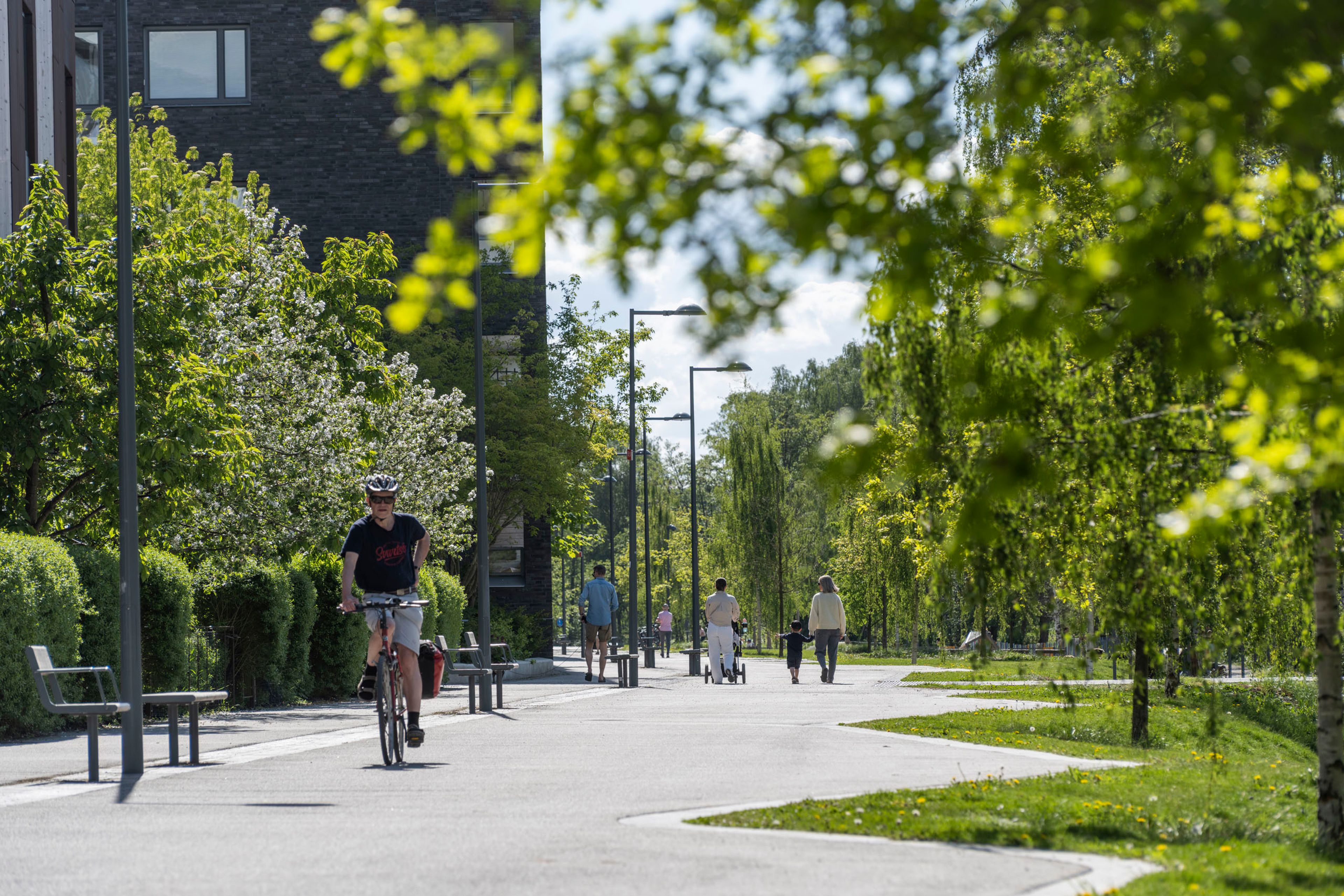 Parkområde i Norra Djurgårsstaden