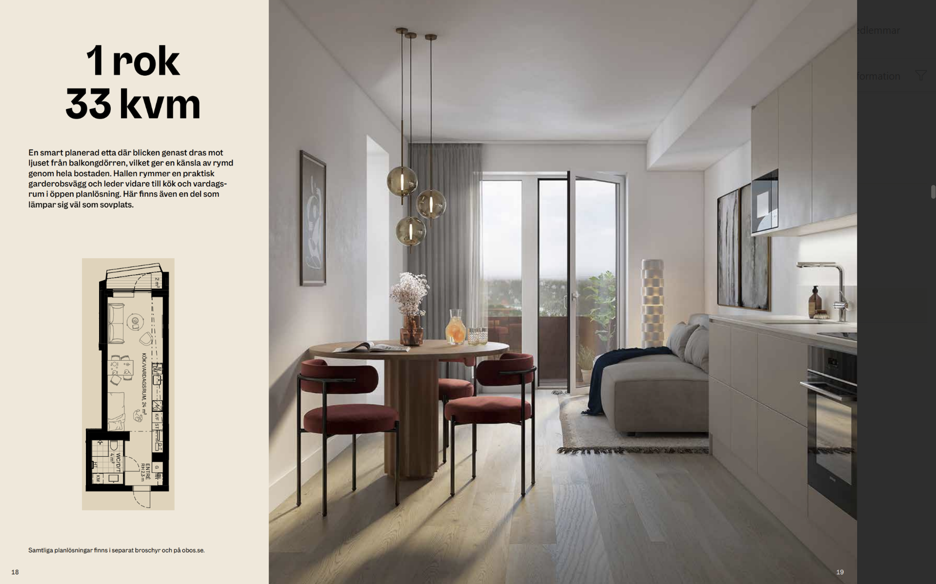 Stadsljus lägenhet 1rok