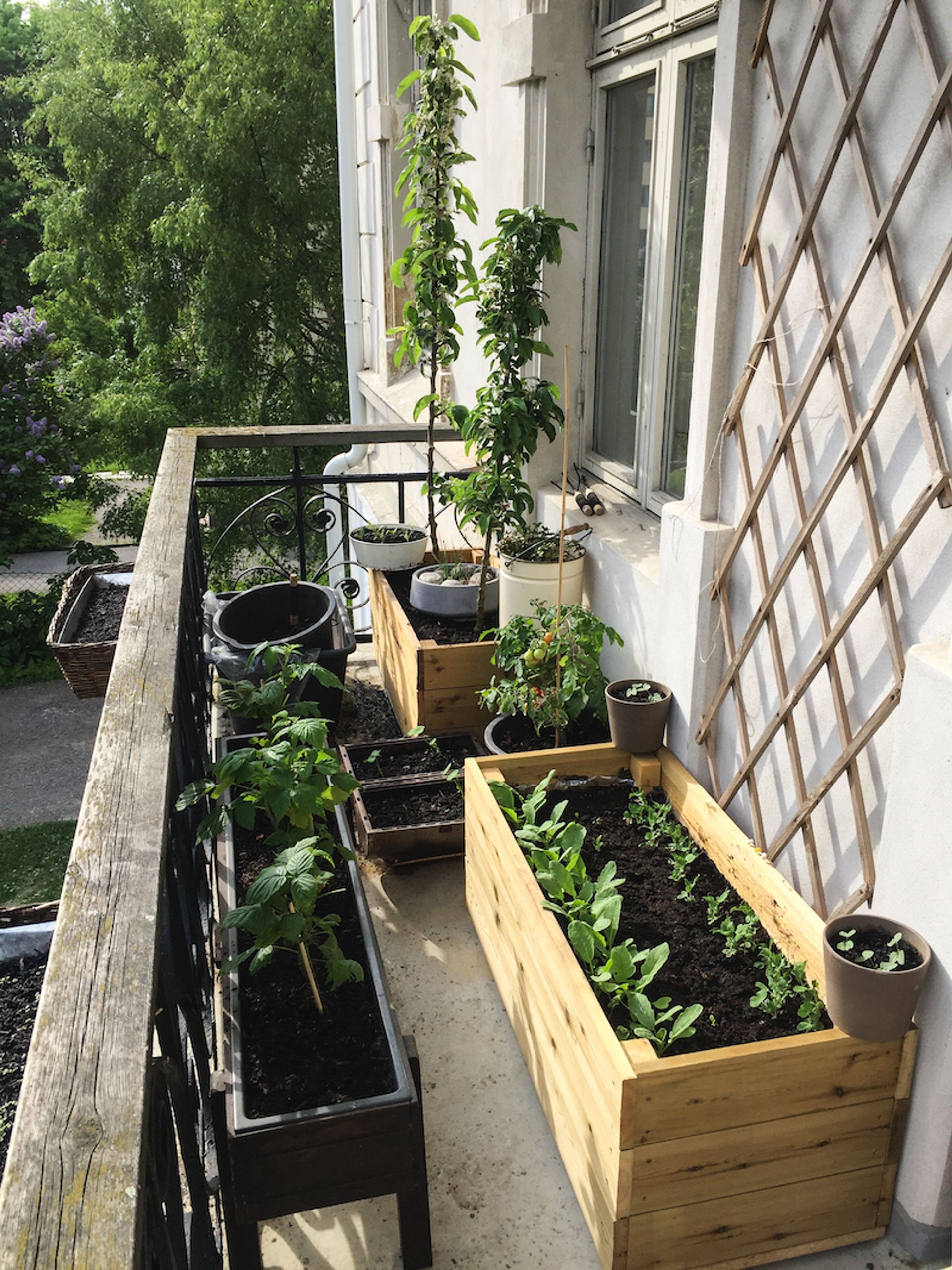 Plantekasser på en liten balkong