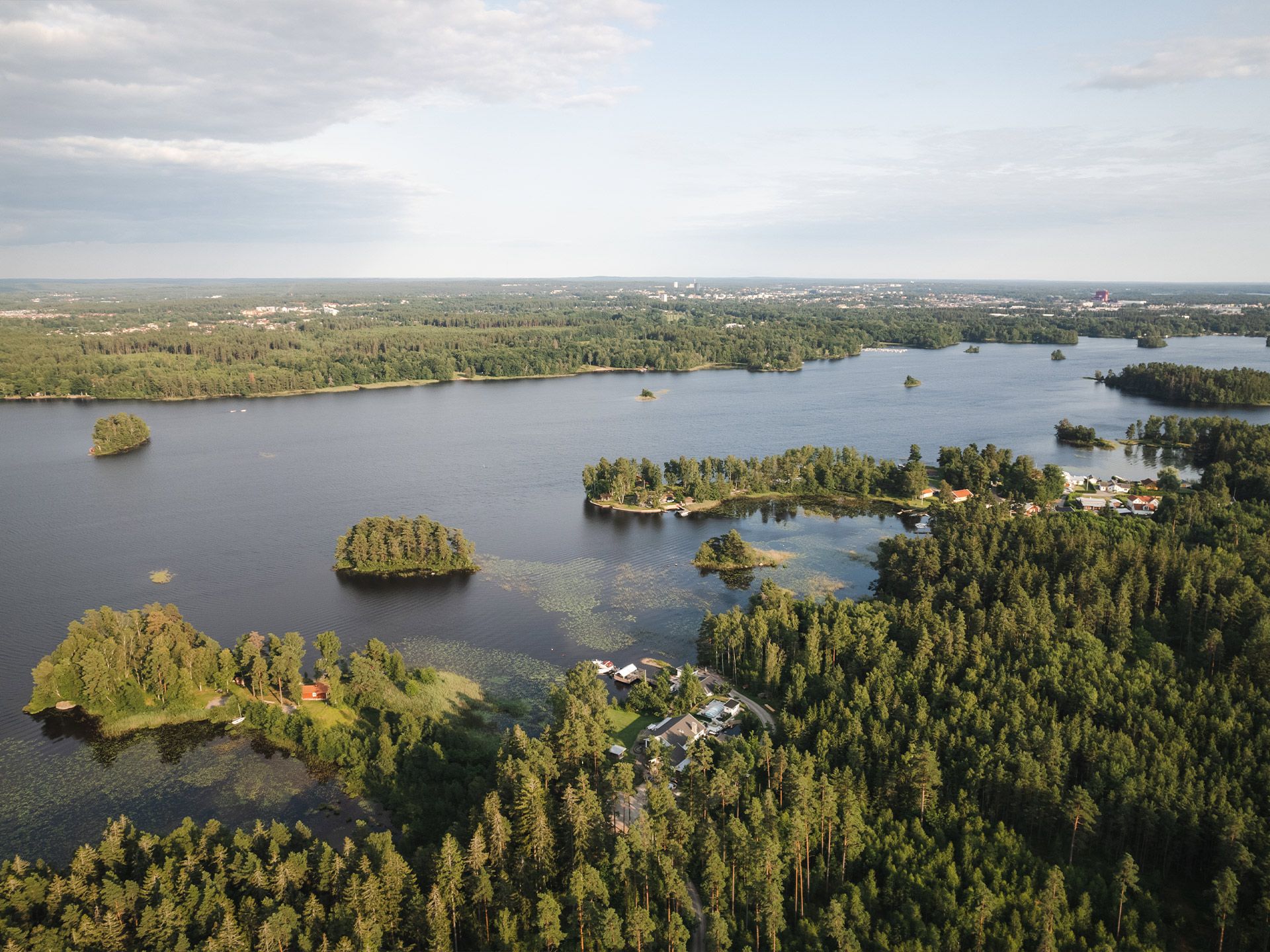 skog och vatten