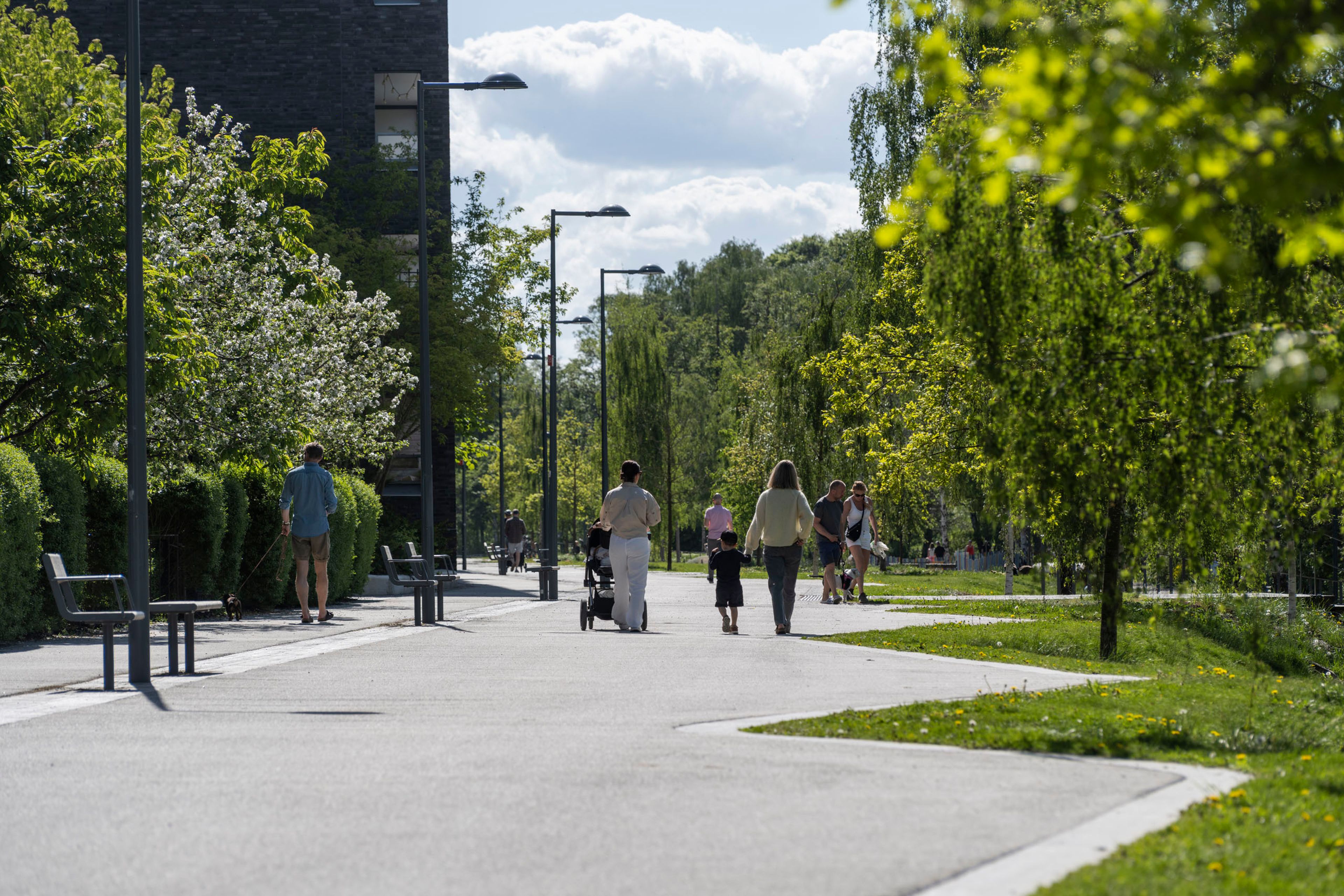 Promenadstråk