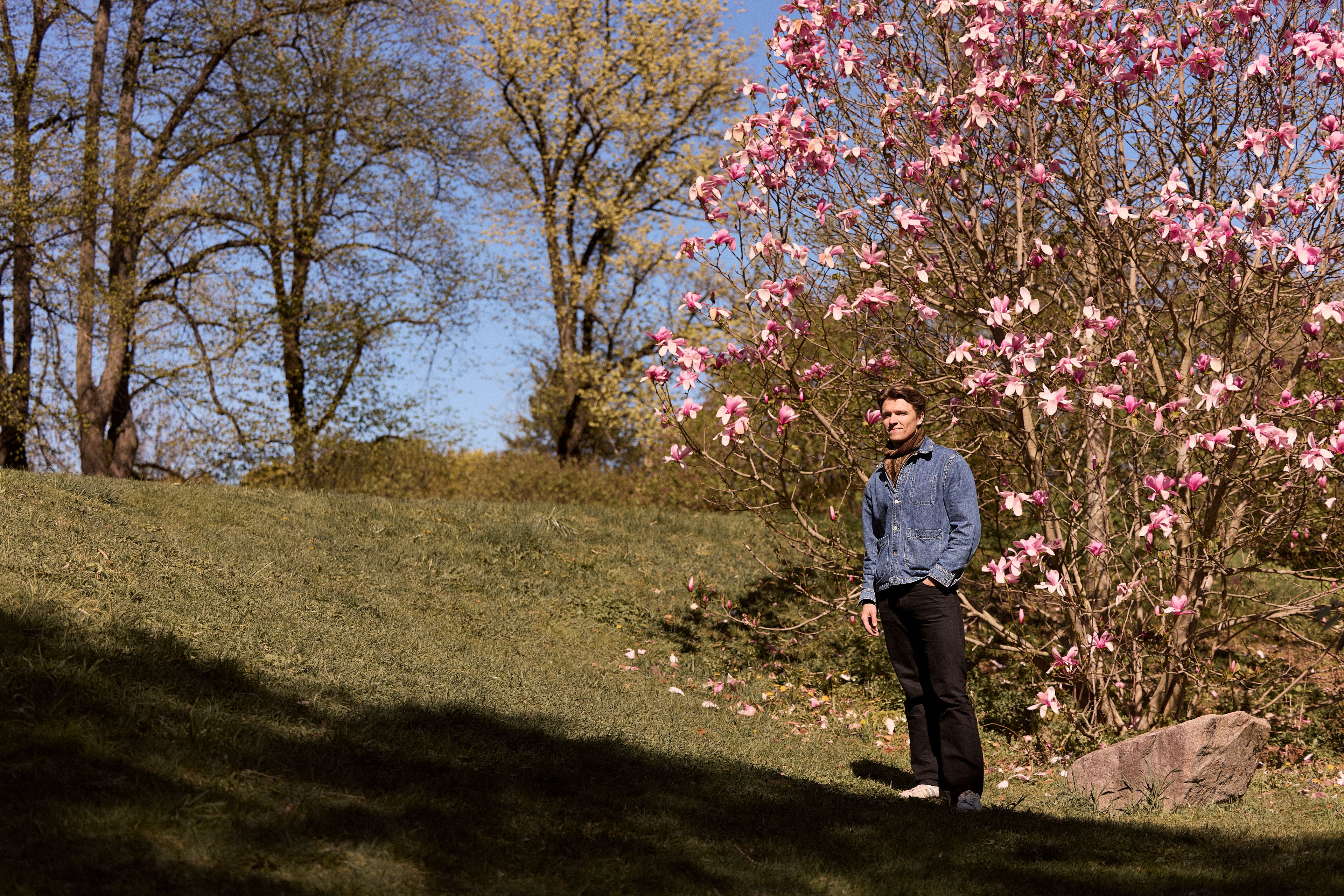 Zimmermann står på en gresskledd skråning ved et stort, rosablomstrende magnoliatre en solfylt vårdag.