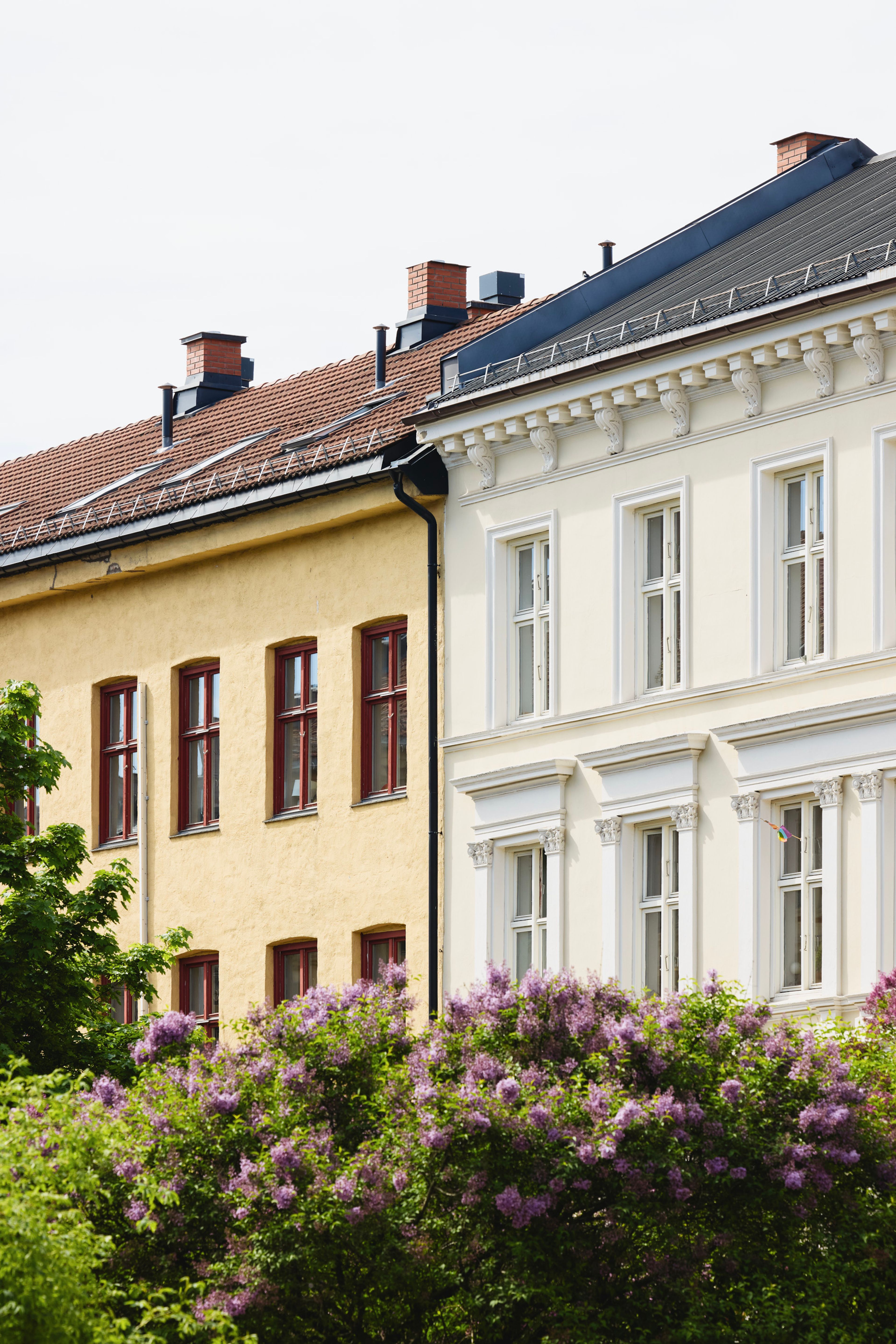 Bygårder i sommersol med blomstrende syriner i forgrunnen.