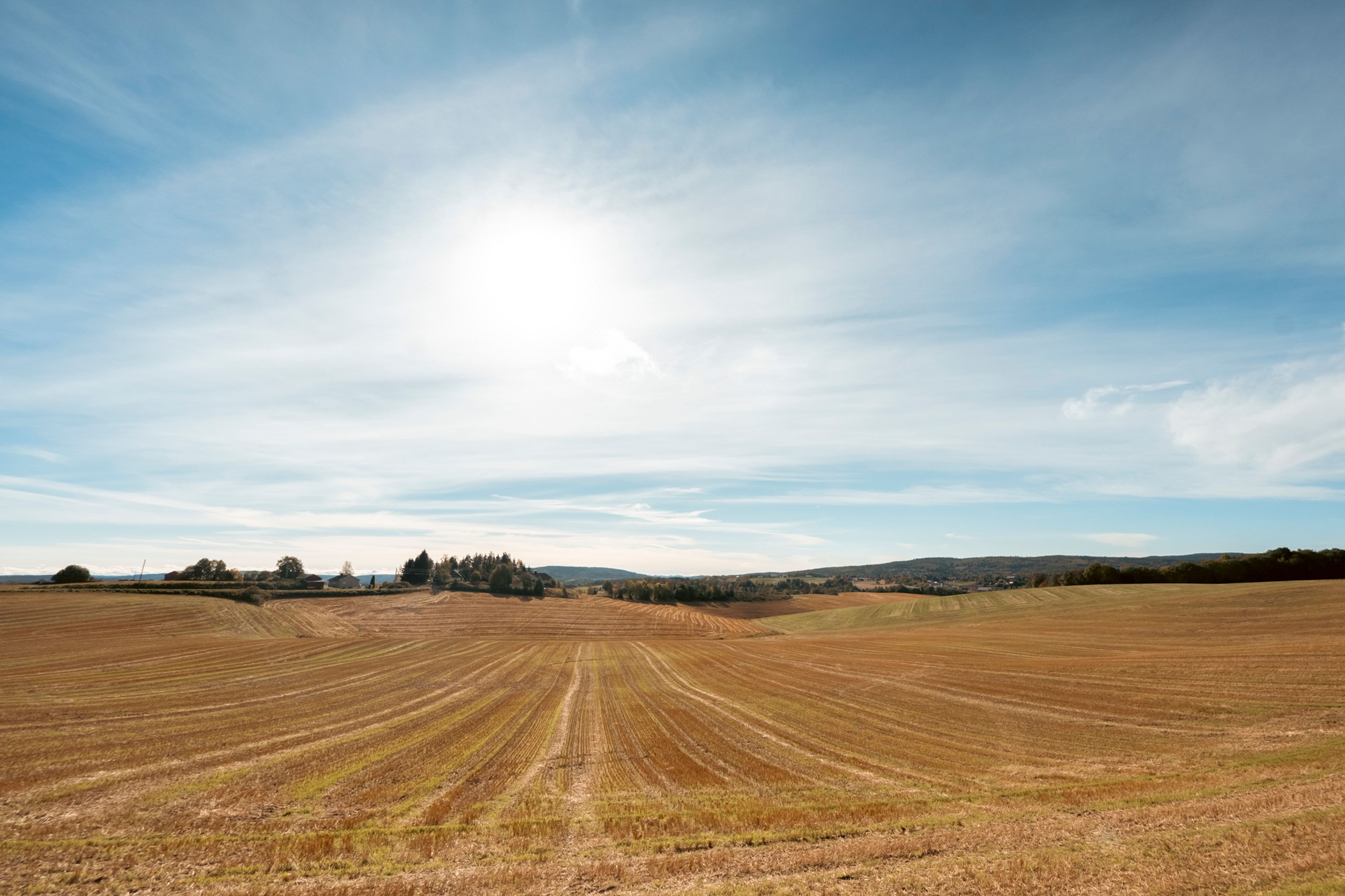 Åker på Romerike