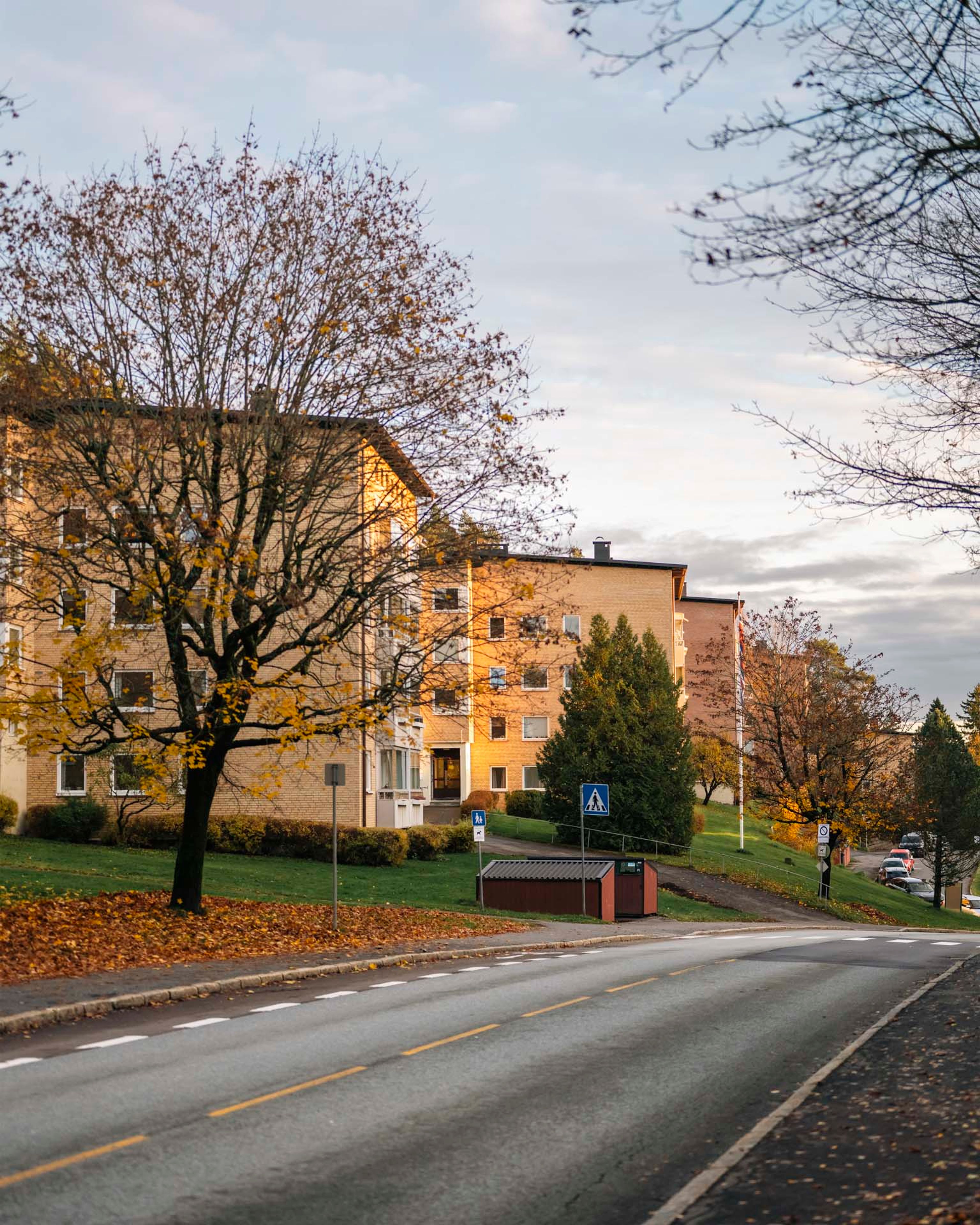 Gatebilde med boligblokker i Munkelia borettslag, omgitt av trær med høstløv.