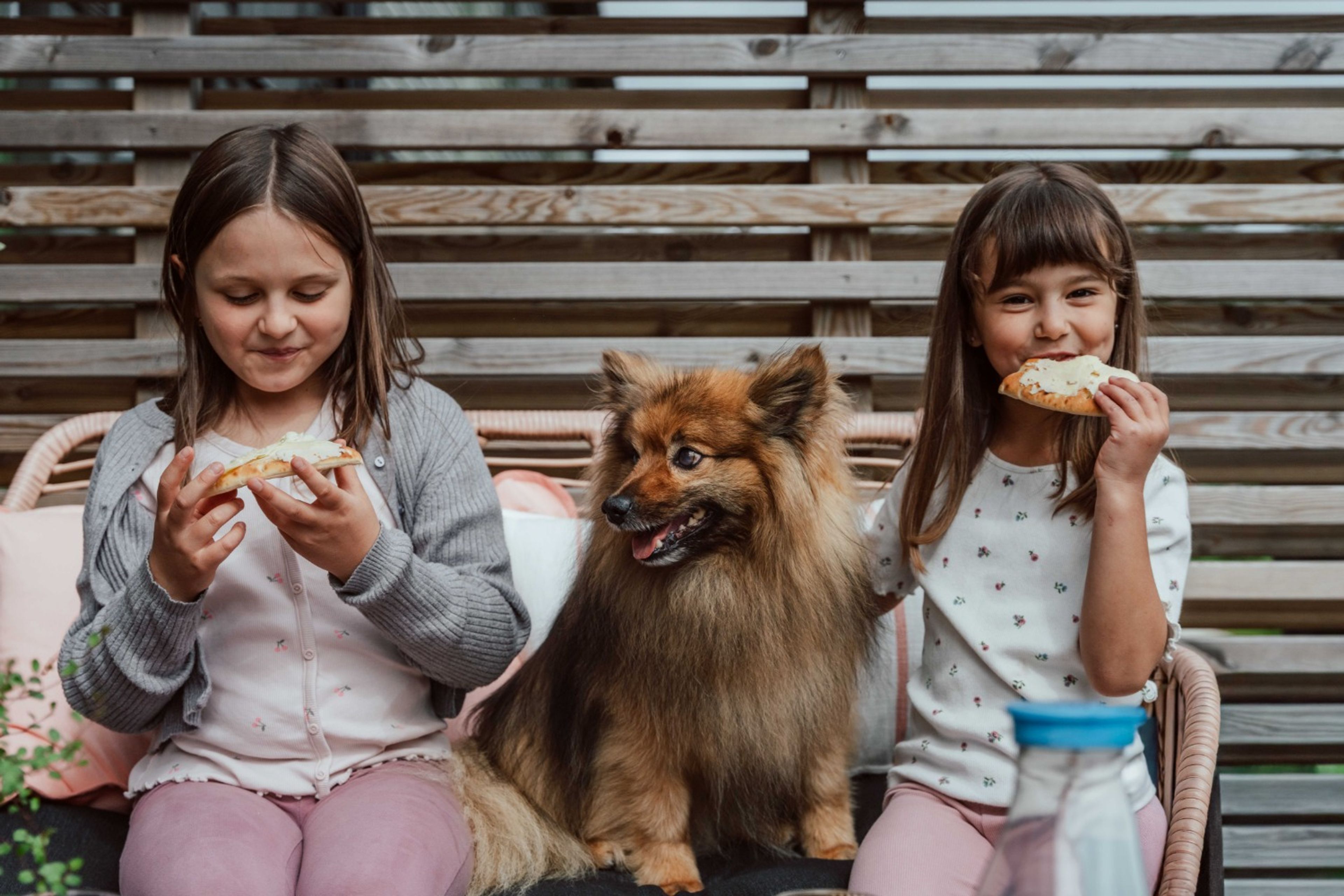 Foto på två barn som äter macka i en utomhusmöbel, med en hund i mitten
