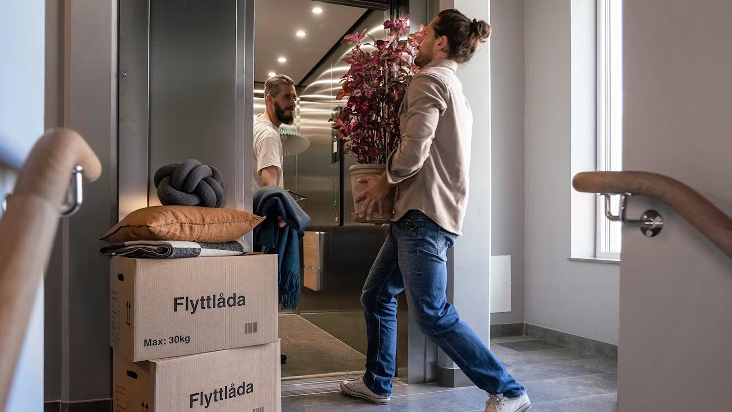 En man bär in en krukväxt i en hiss