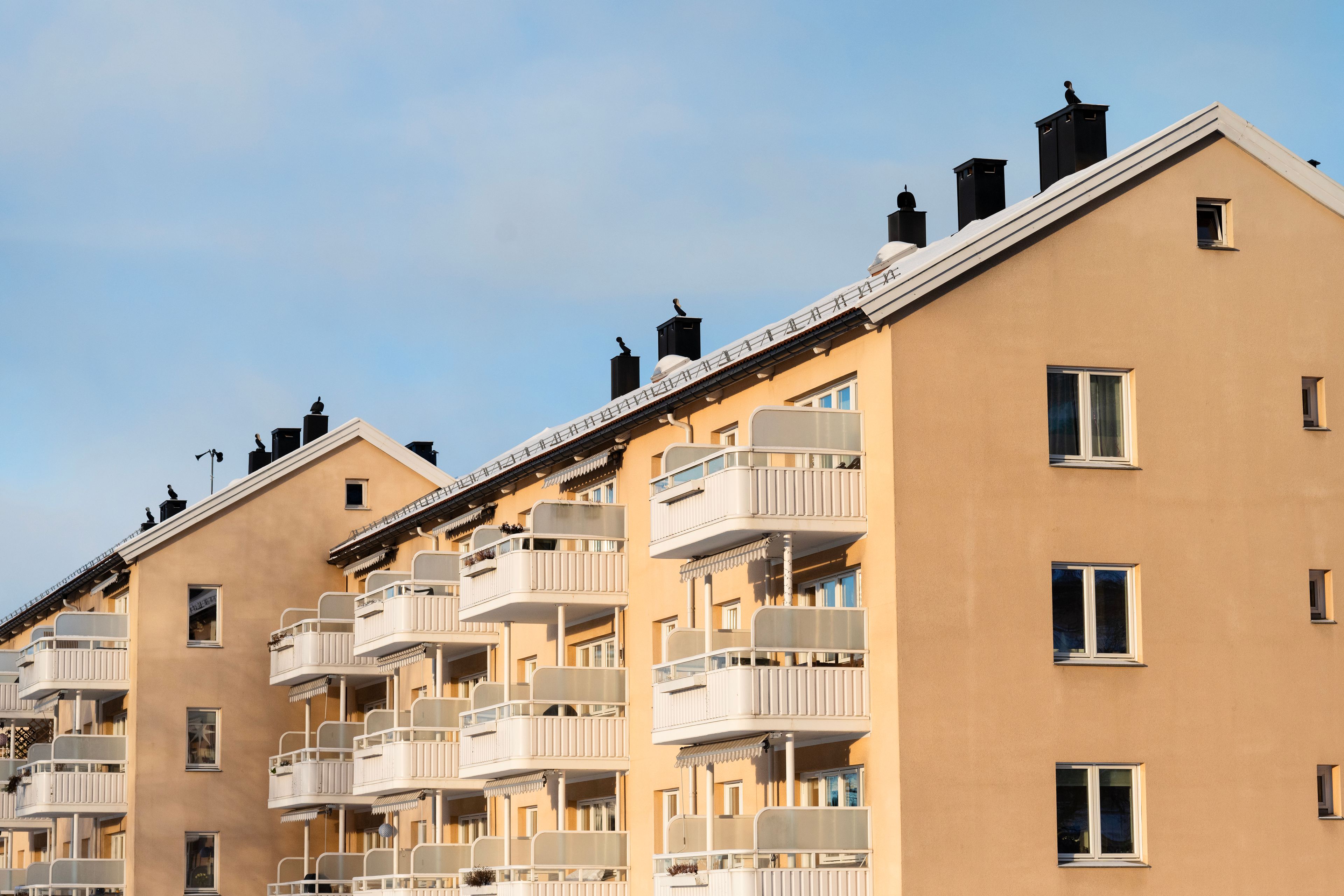 Foto av fasaden og balkongene til noen av blokkene i Myren borettslag.