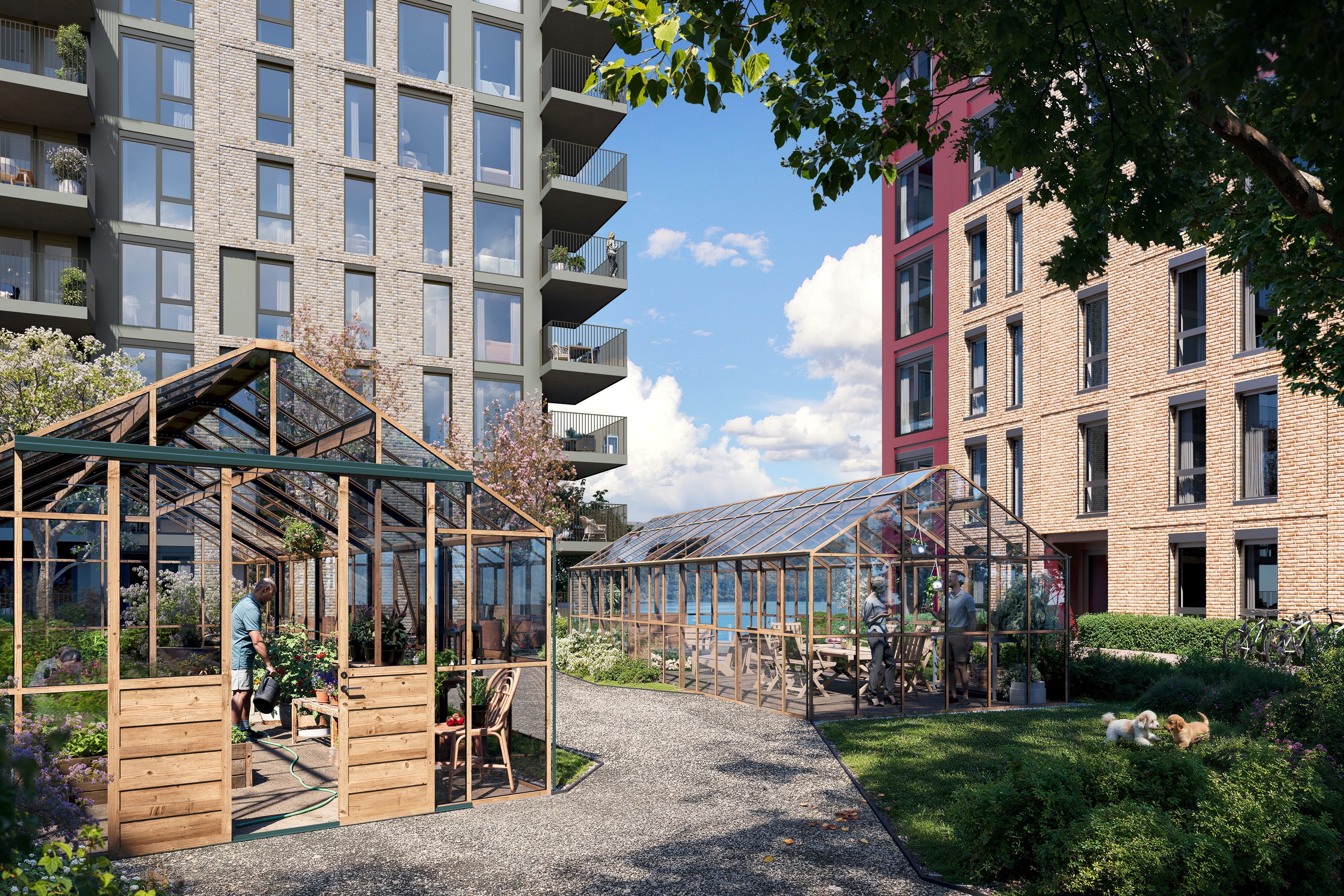 Illustrasjon av drivhus og grøntområder mellom husene.