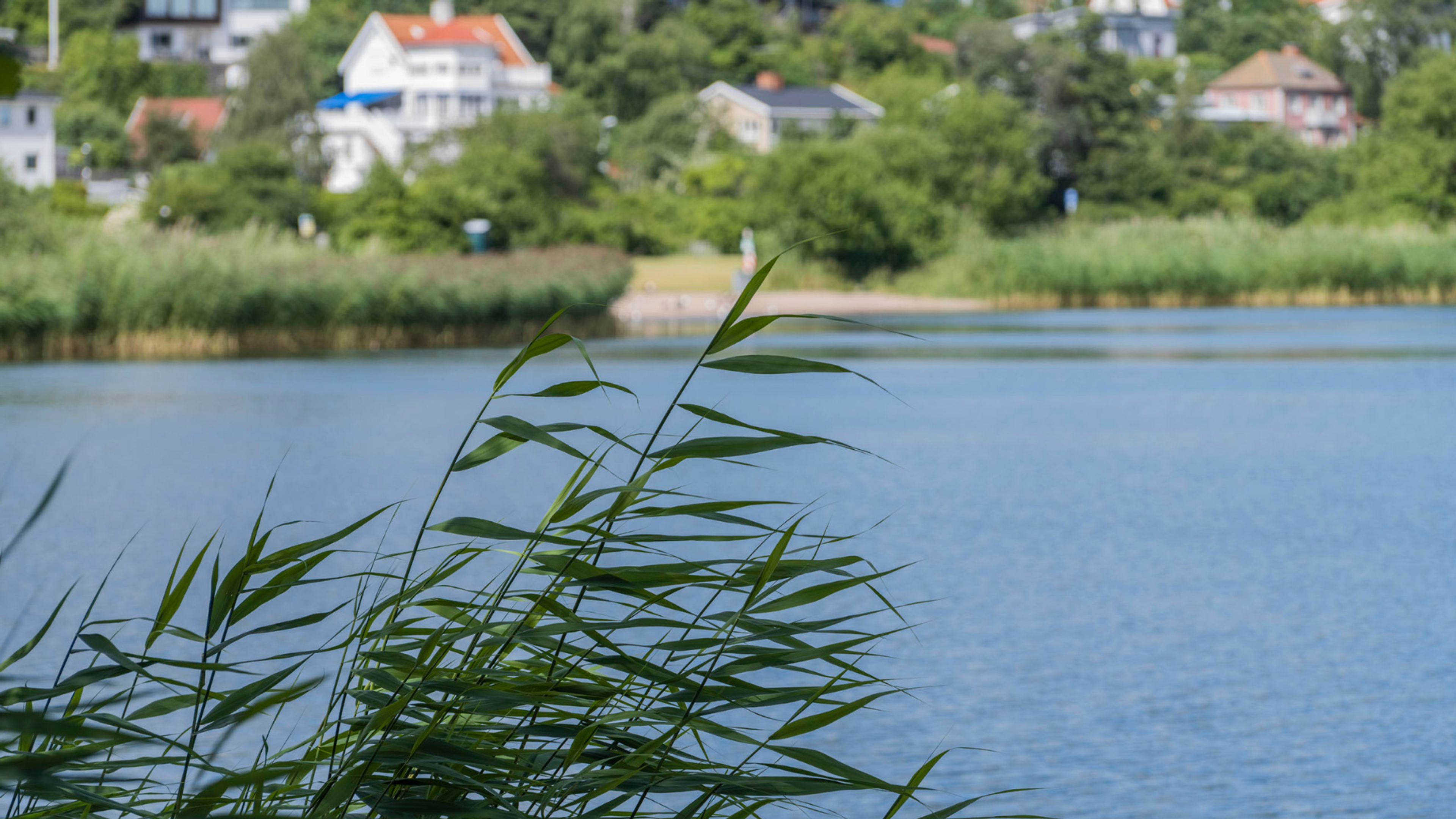härlig utsikt vid vatten