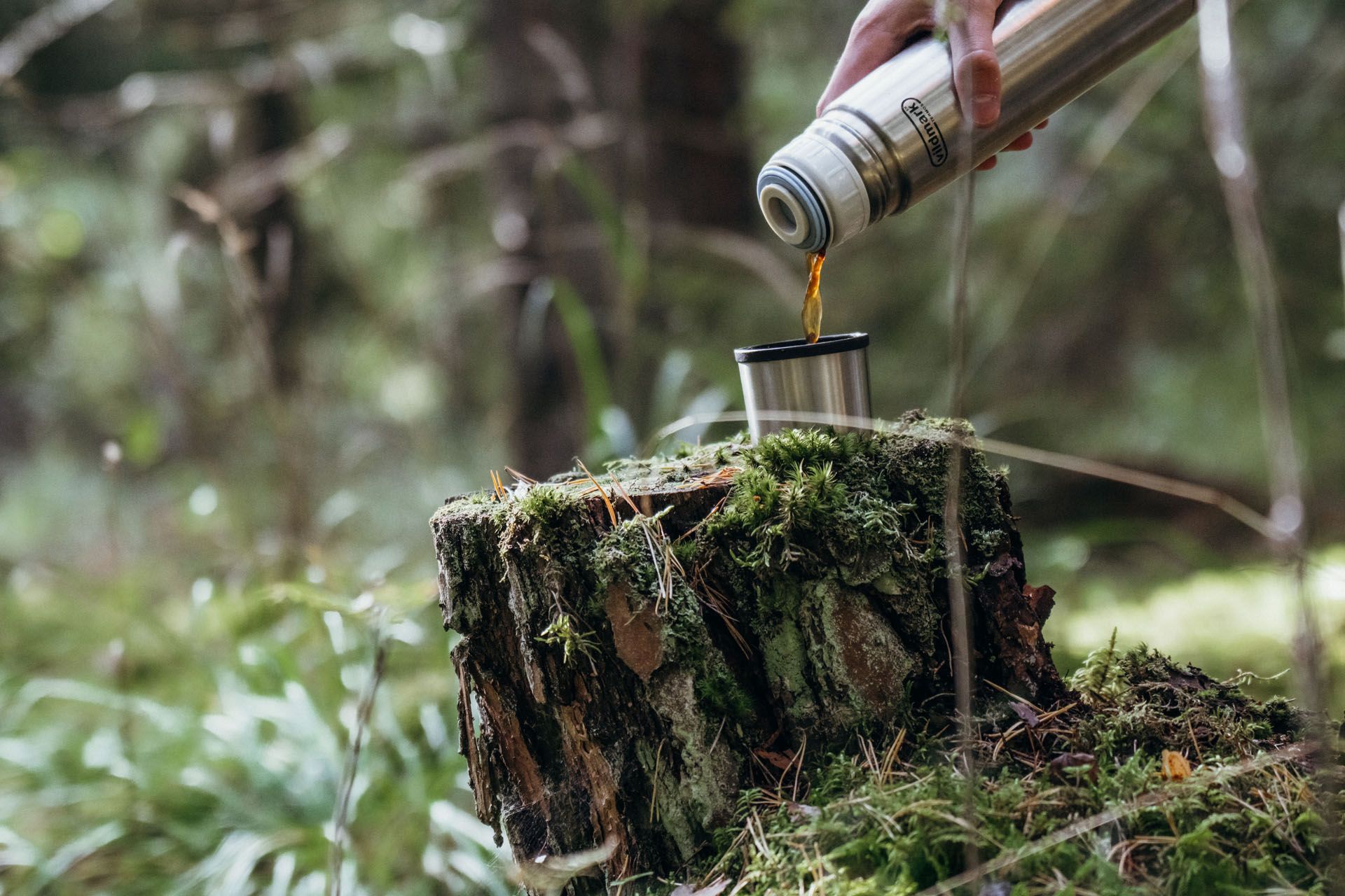 Kaffe i skogen