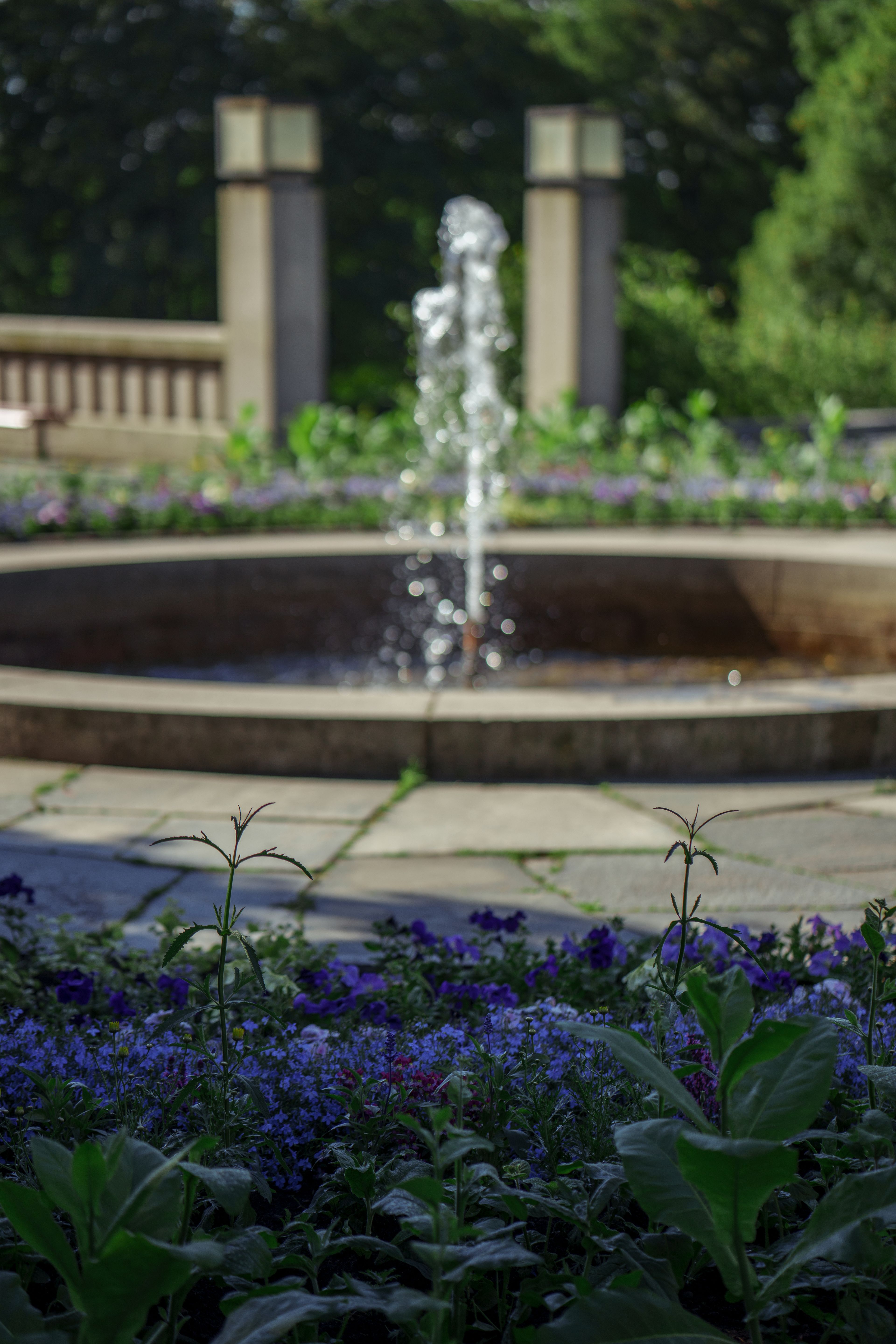 Utsnitt fra Frognerparken med blomster i forgrunnen og fontene i midten