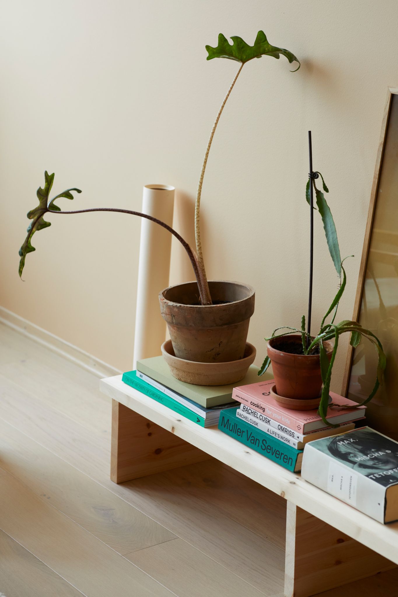 Lav skjenk med planter og bøker på