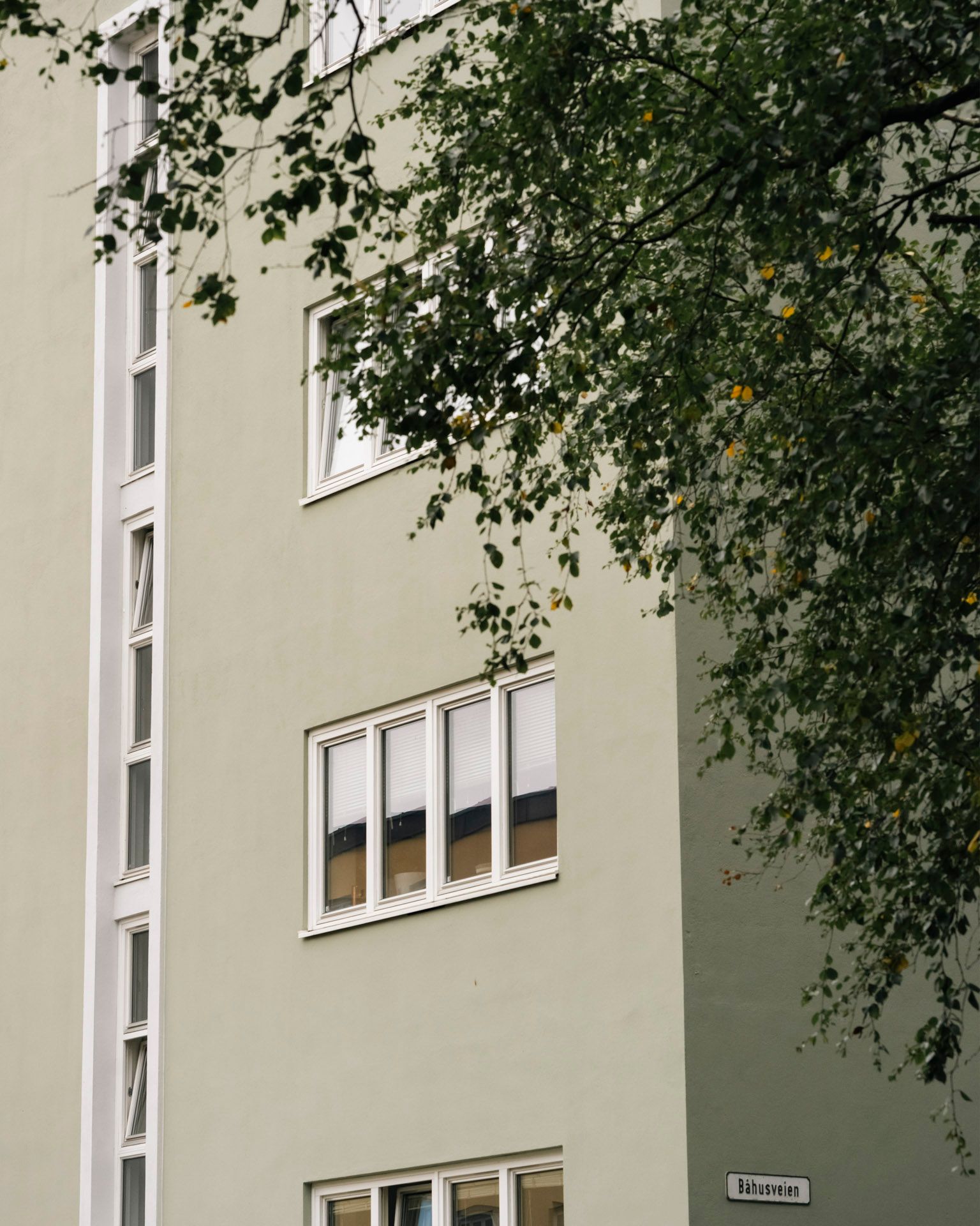 Nærbilde av fasaden på en grønn boligblokk med hvite vinduskarmer, der greiner fra et tre henger foran bygget.