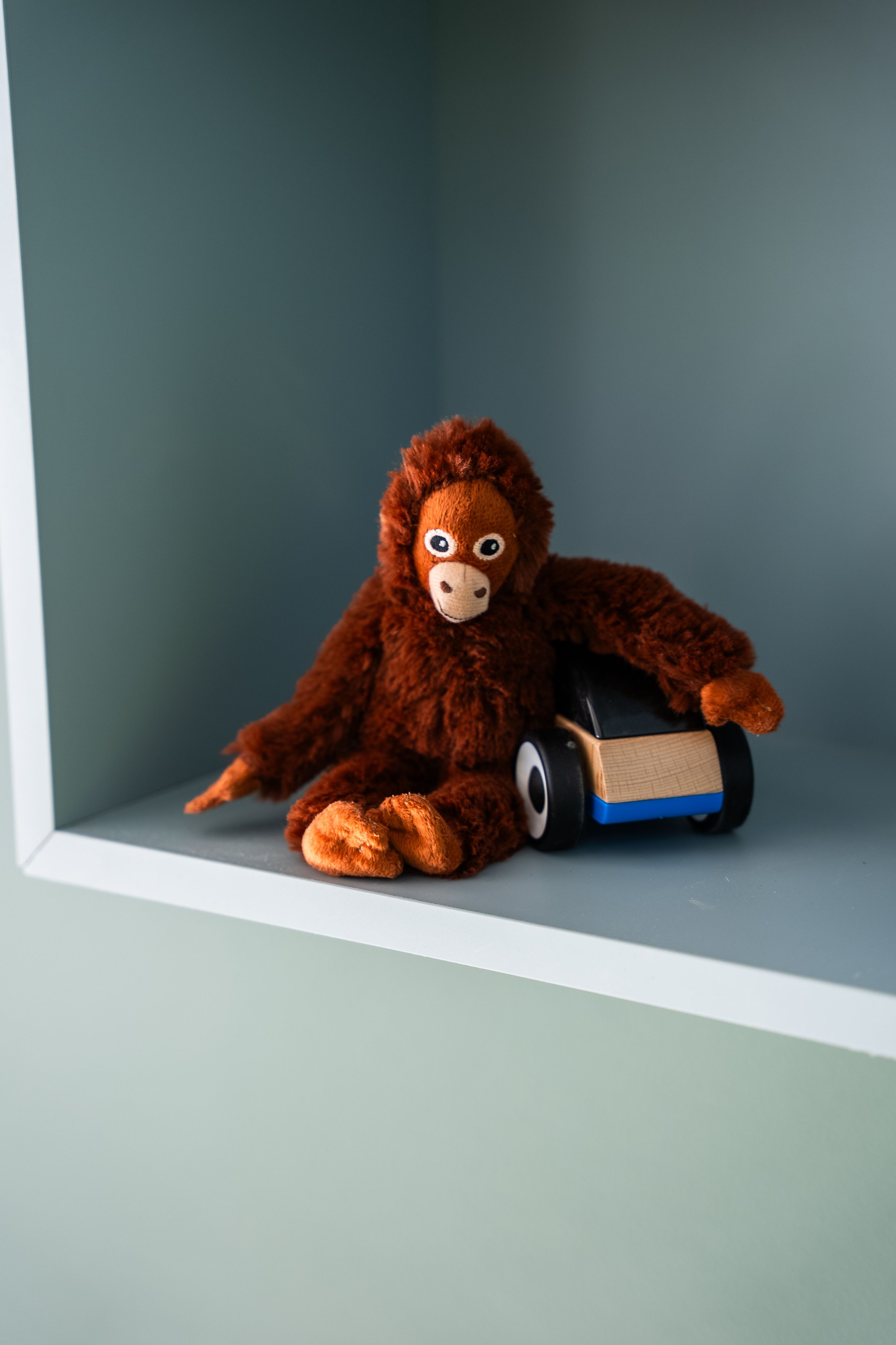 Nærbilde av et kosedyr i en hylle på veggen.