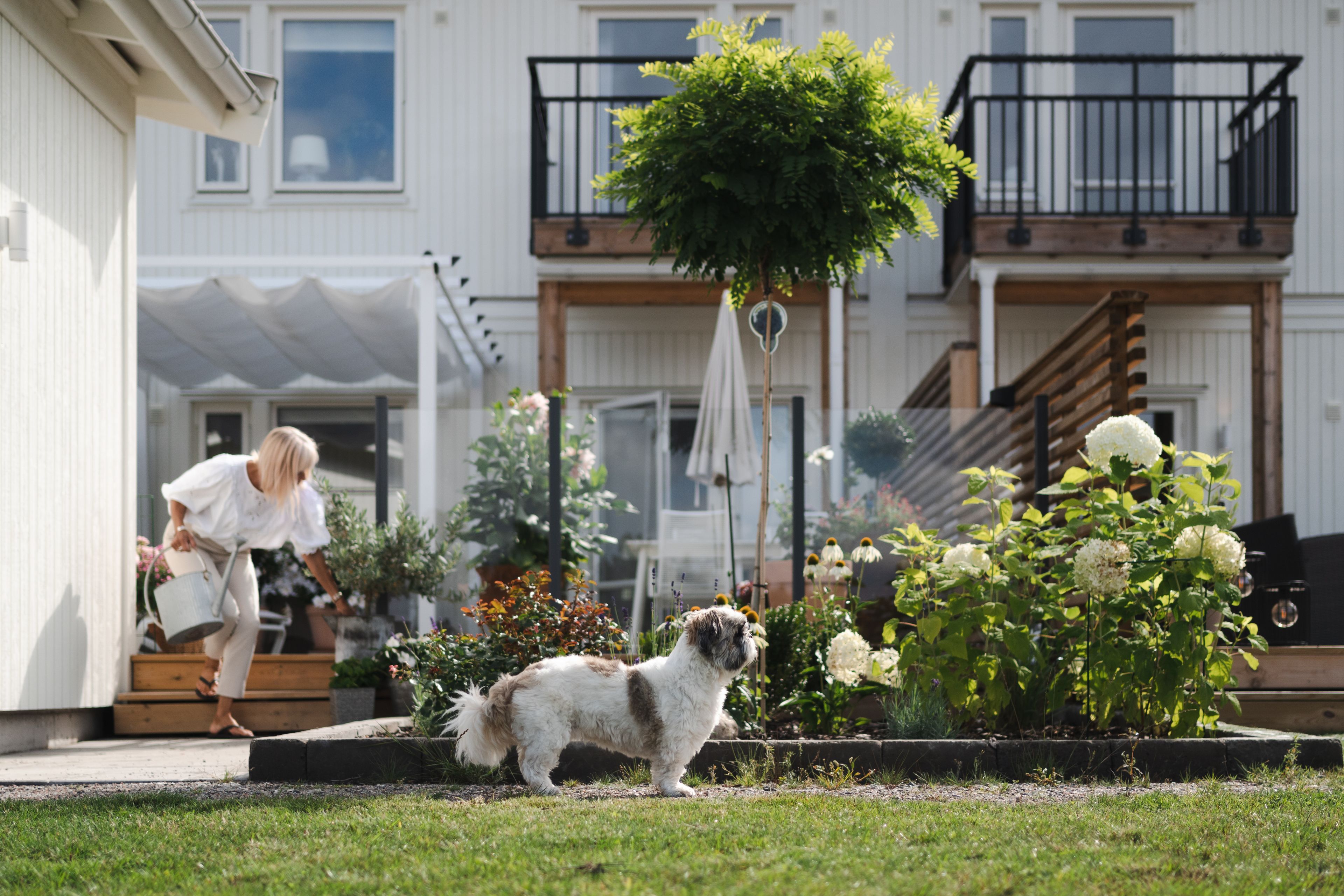 Brf Lavendeln miljöbild