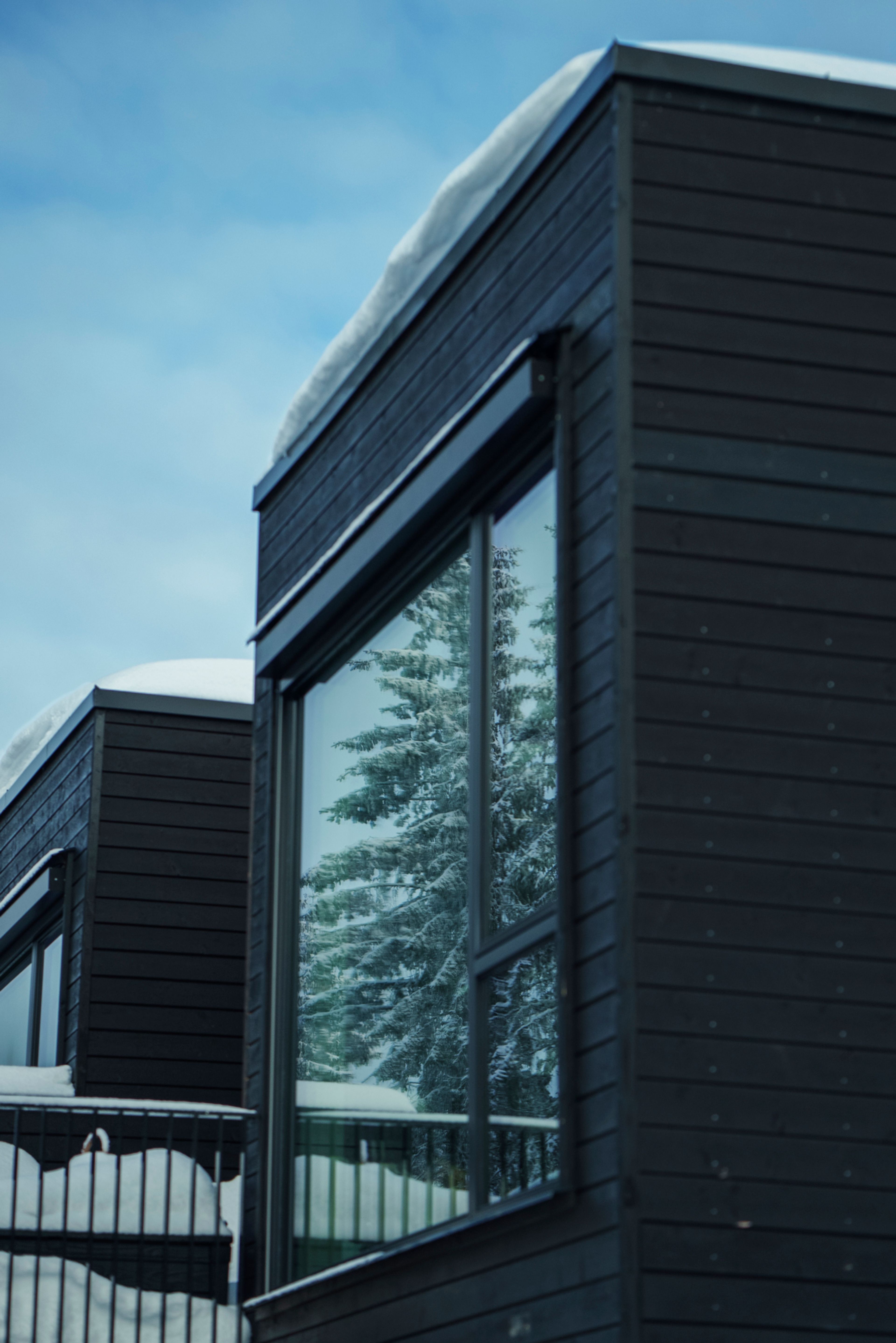 Et nærbilde av vinduene på rekkehusene på Vitigrend.