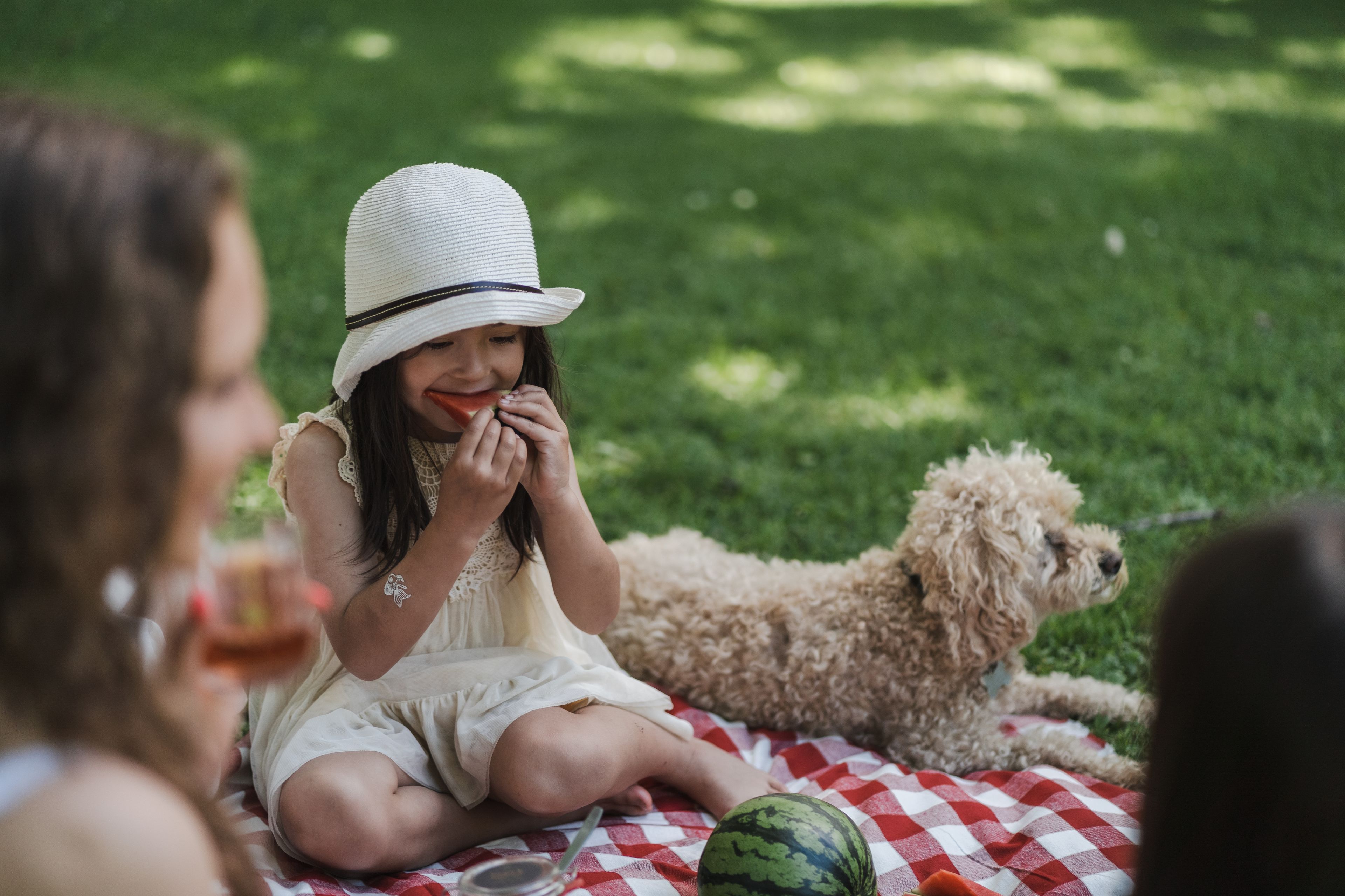 Foto på flicka och hund på picknickfilt i en park