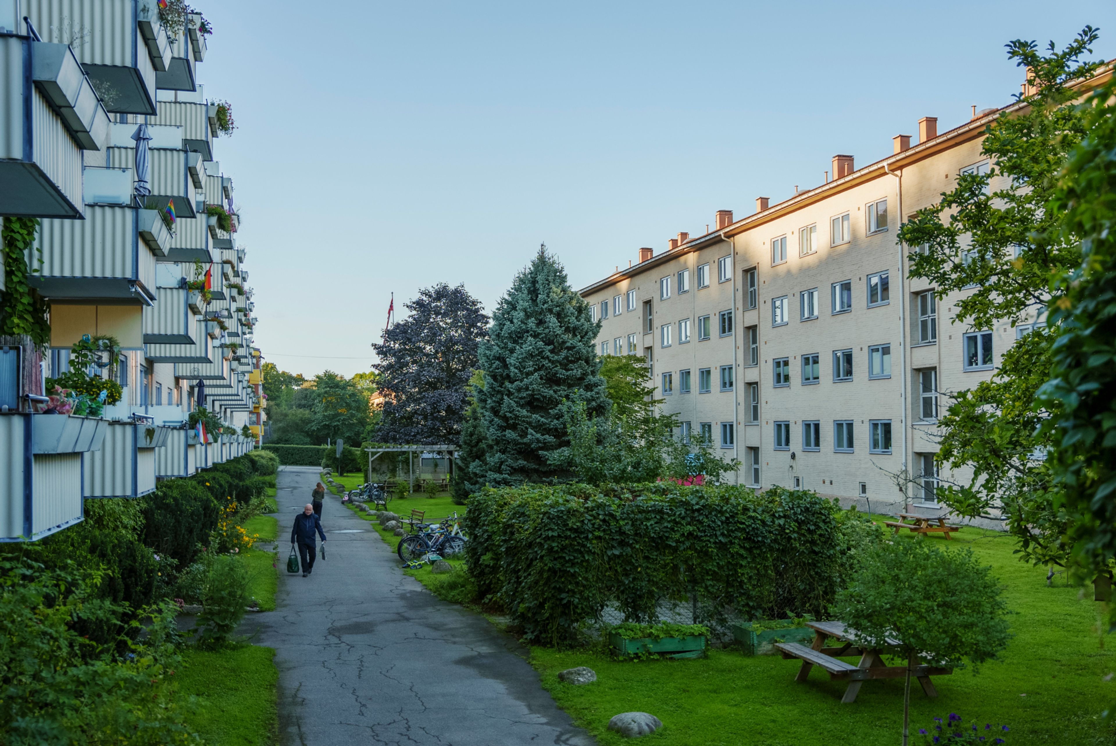 Foto av uteområdet mellom blokkene i borettslaget.