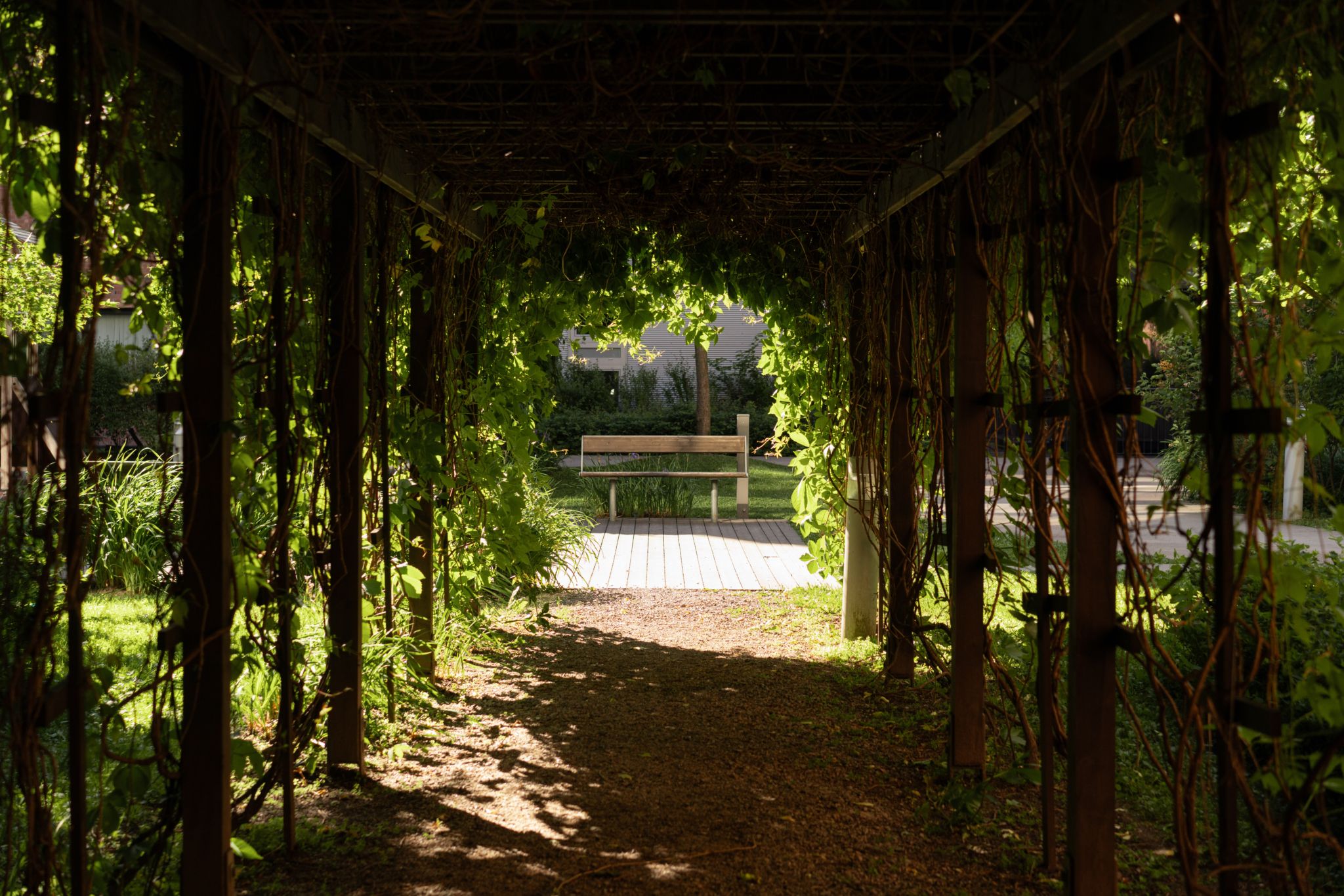 Utvendige fellesområder i Pelton borettslag.
