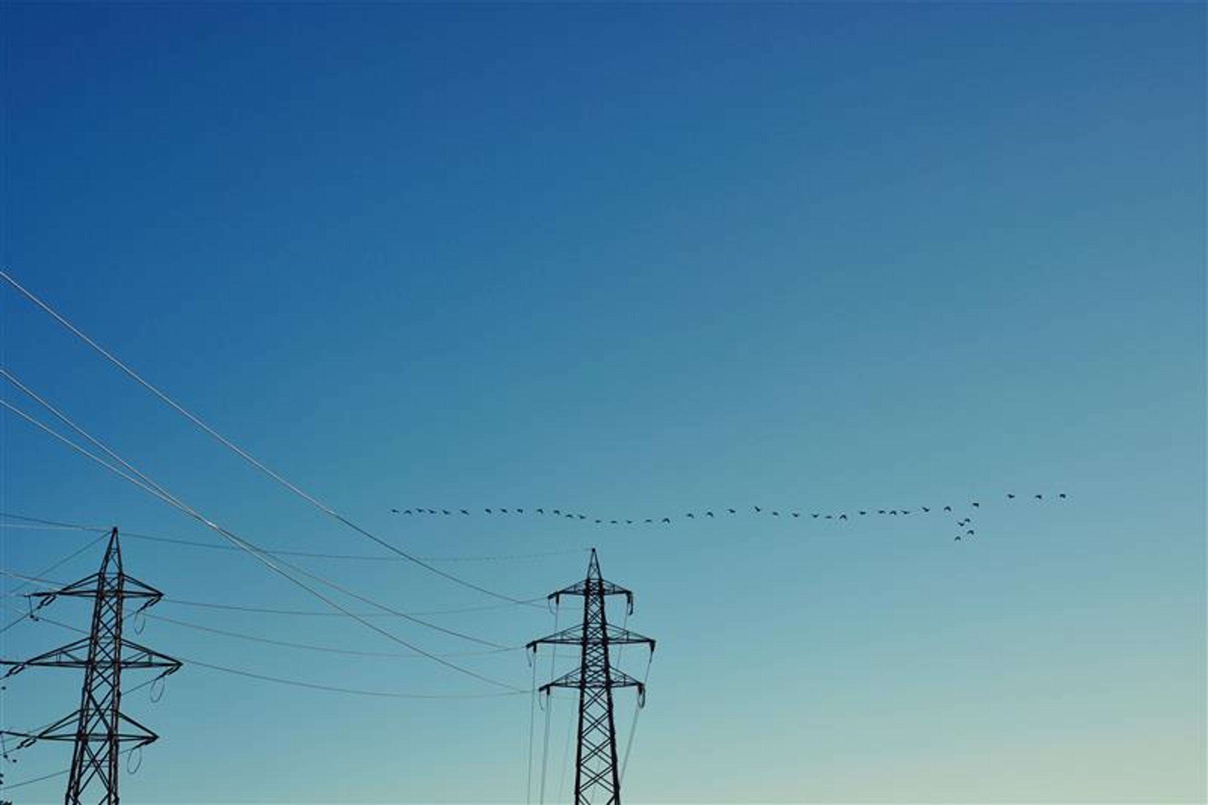 Fugler som sitter på strømledning mellom to høyspentmaster mot en klar blå himmel.