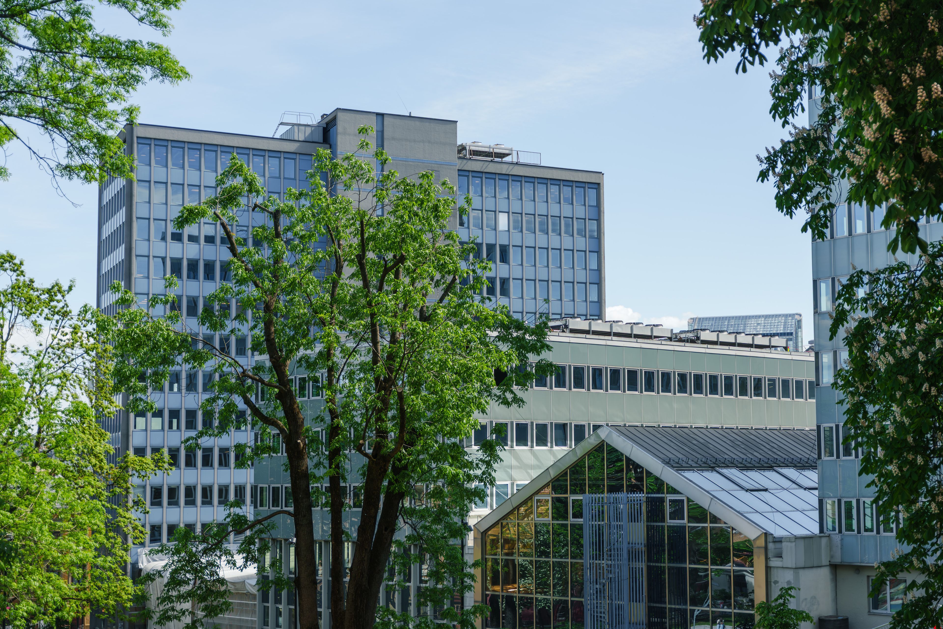Foto av høyblokka på Hammersborg Torg 3., samt resten av HK Hammersborg