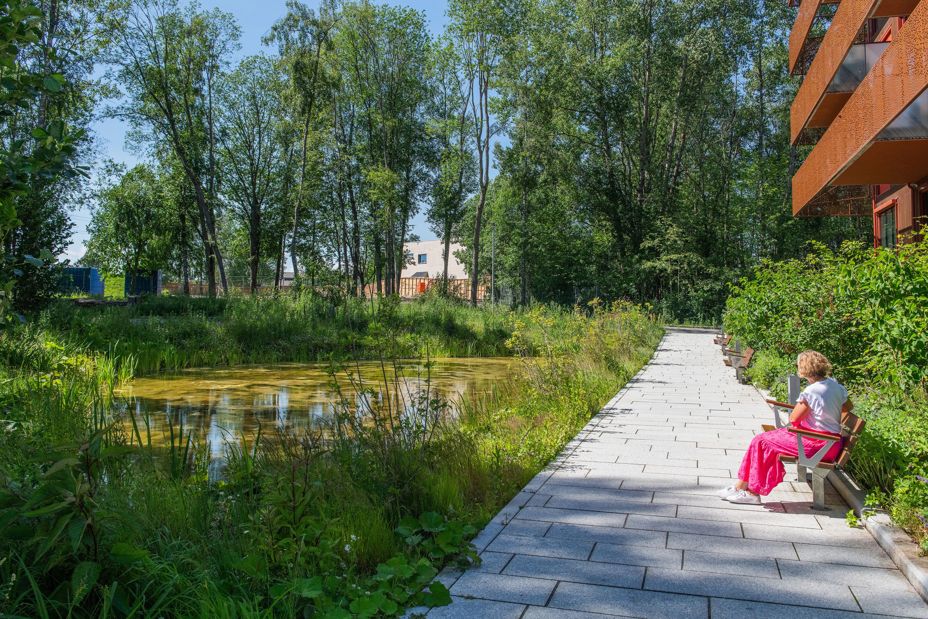Kvinne som sitter på en benk på en sommerdag ved dammen i Magasinparken.