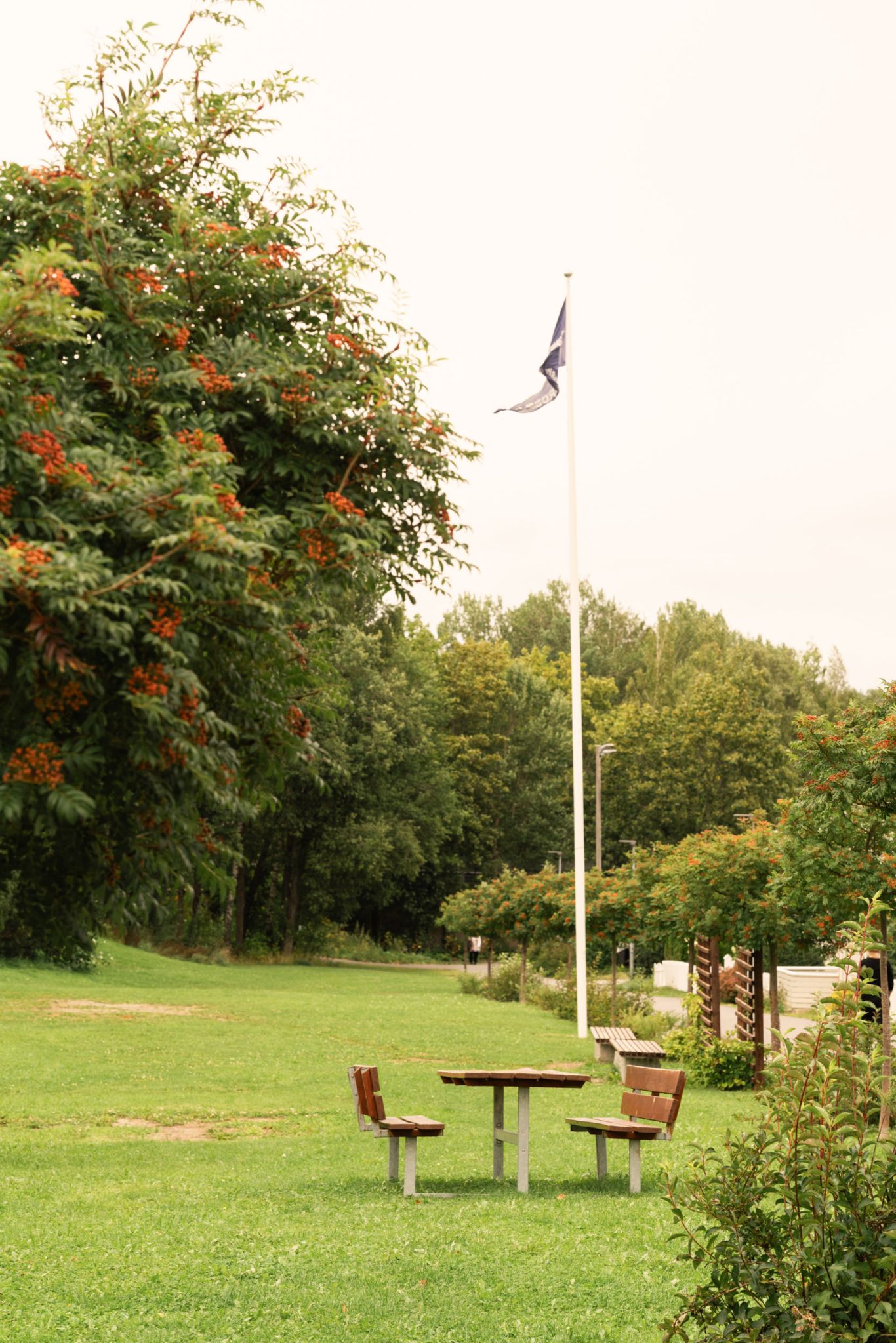 Foto av benken og flaggstangen i parkområdet til Søndre Åsgården borettslag.