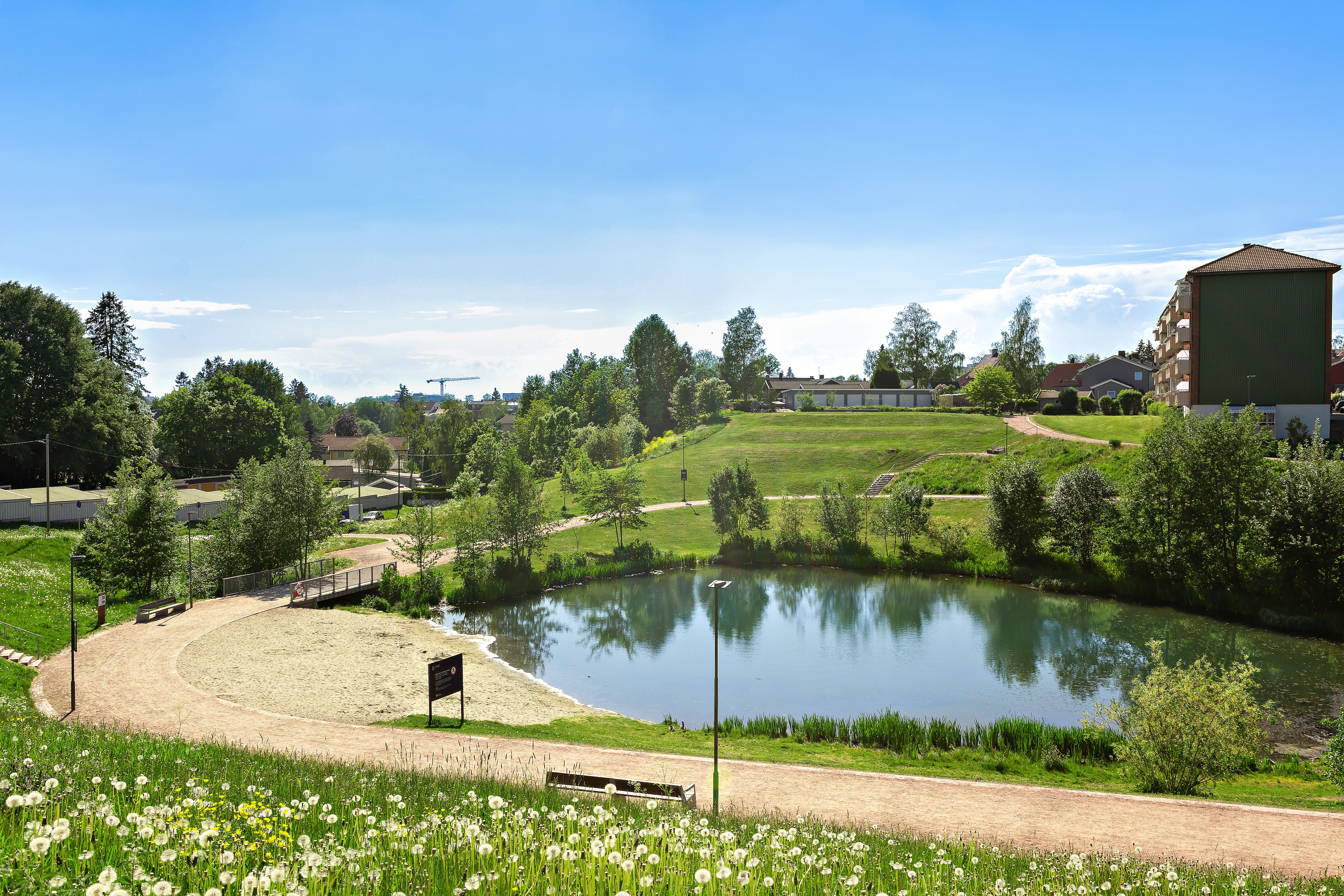 Bilde av dammen i Bjerkedalen park