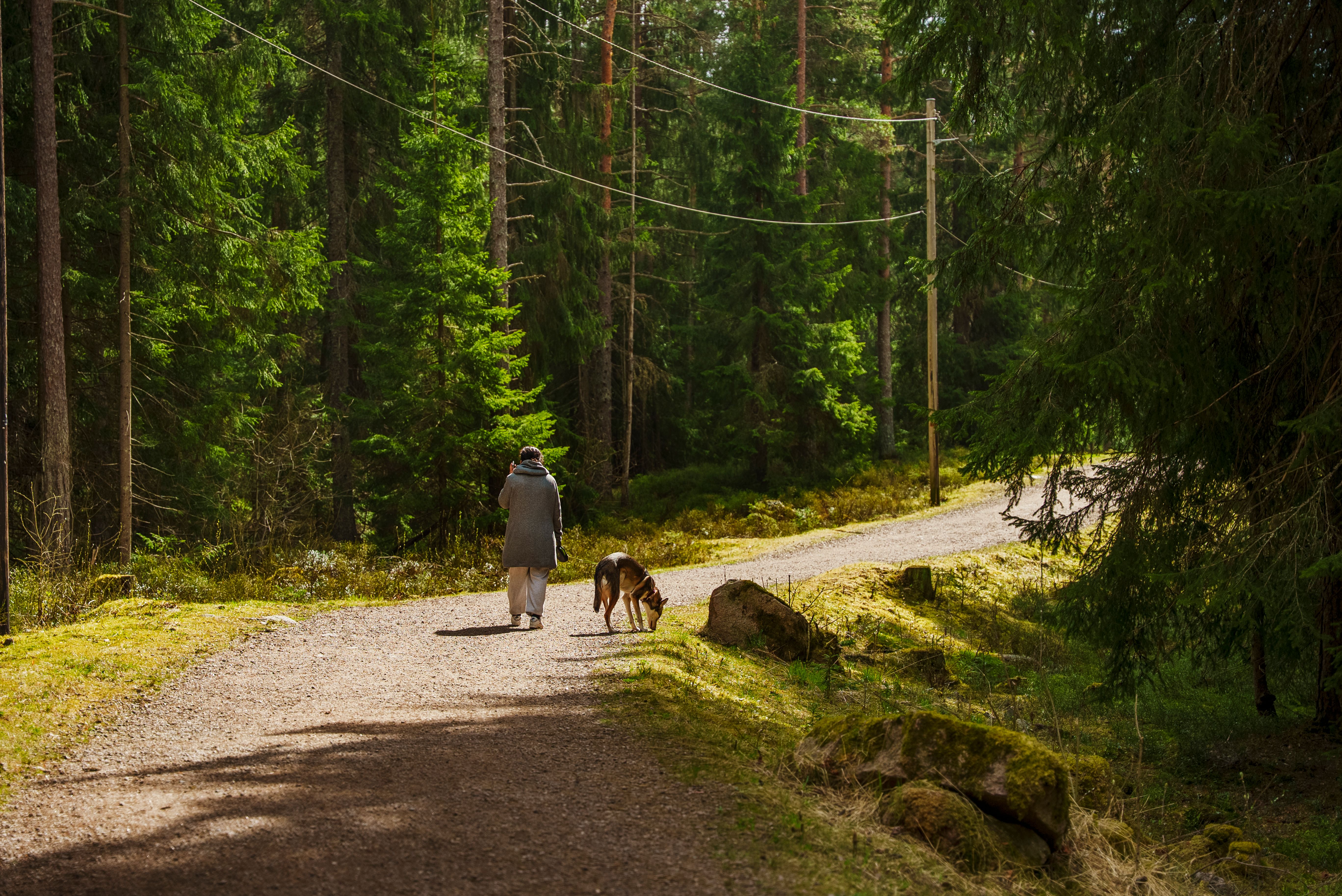 Foto av hund og eier som går tur i Lillomarka ved Oen