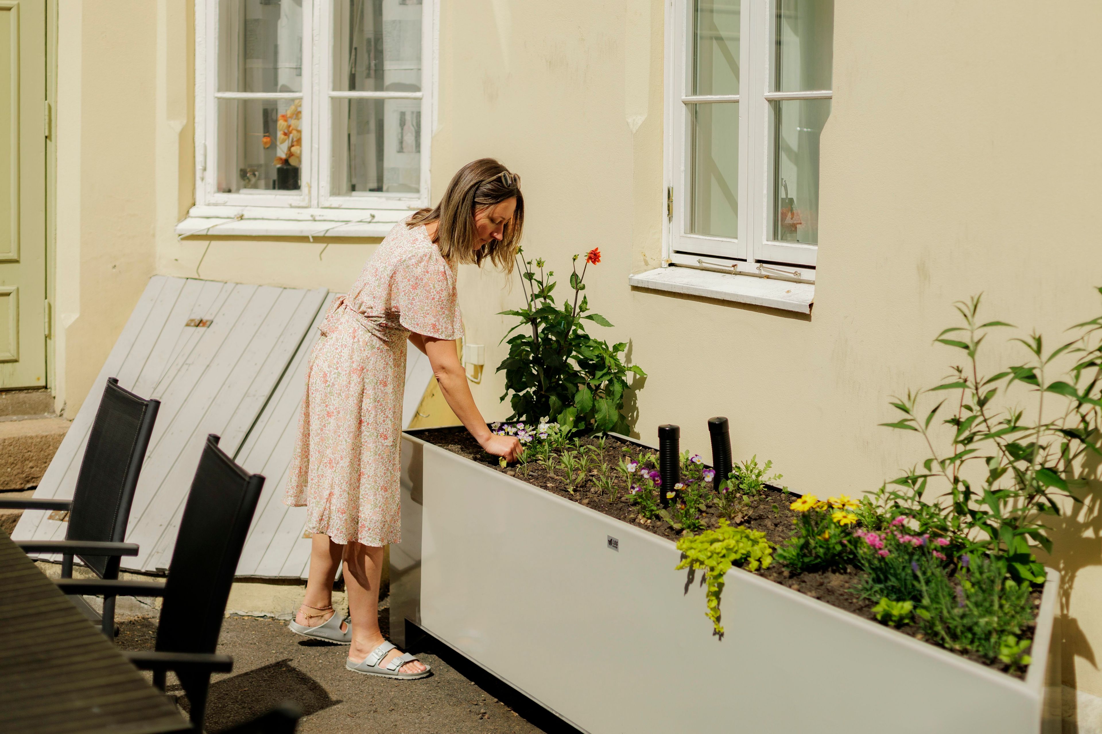 Styreleder Hanna Mari Hauan inspiserer en plantekasse i bakgården.