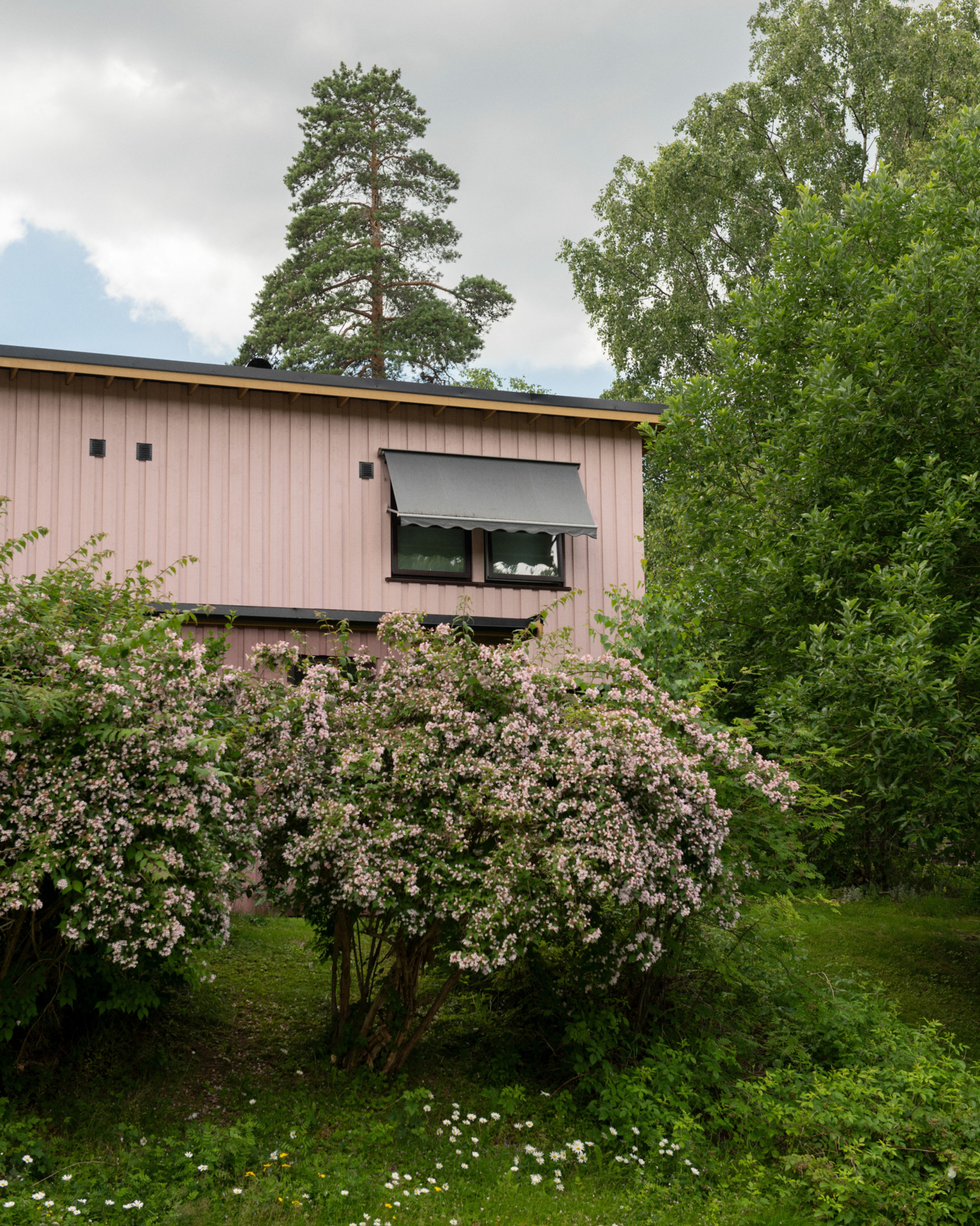 Et rosa hus i Beverdalen Borettslag. I forkant ser vi en syrinbusk.