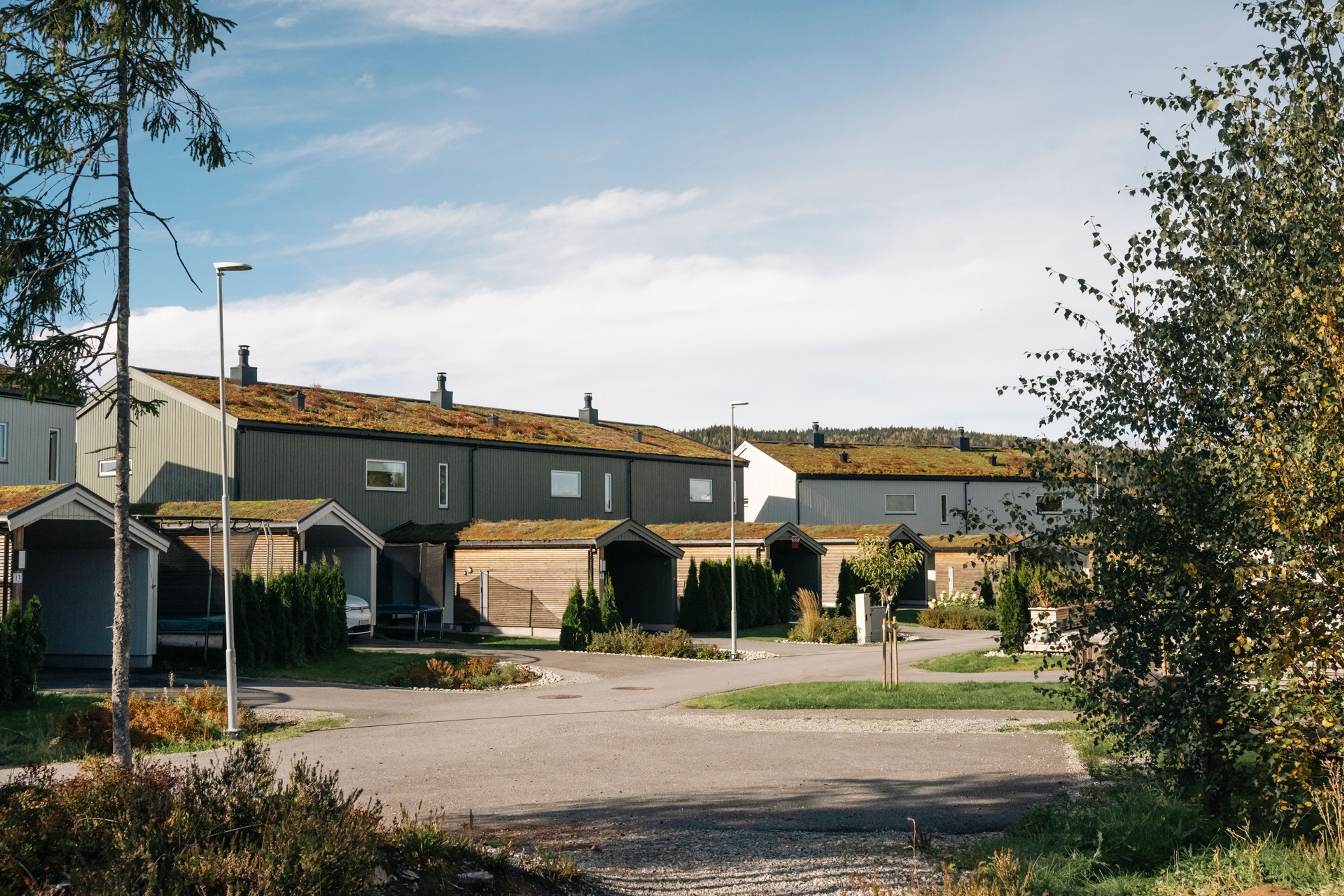 Foto av boliger med sedumtak på Eltonåsen, Romerike