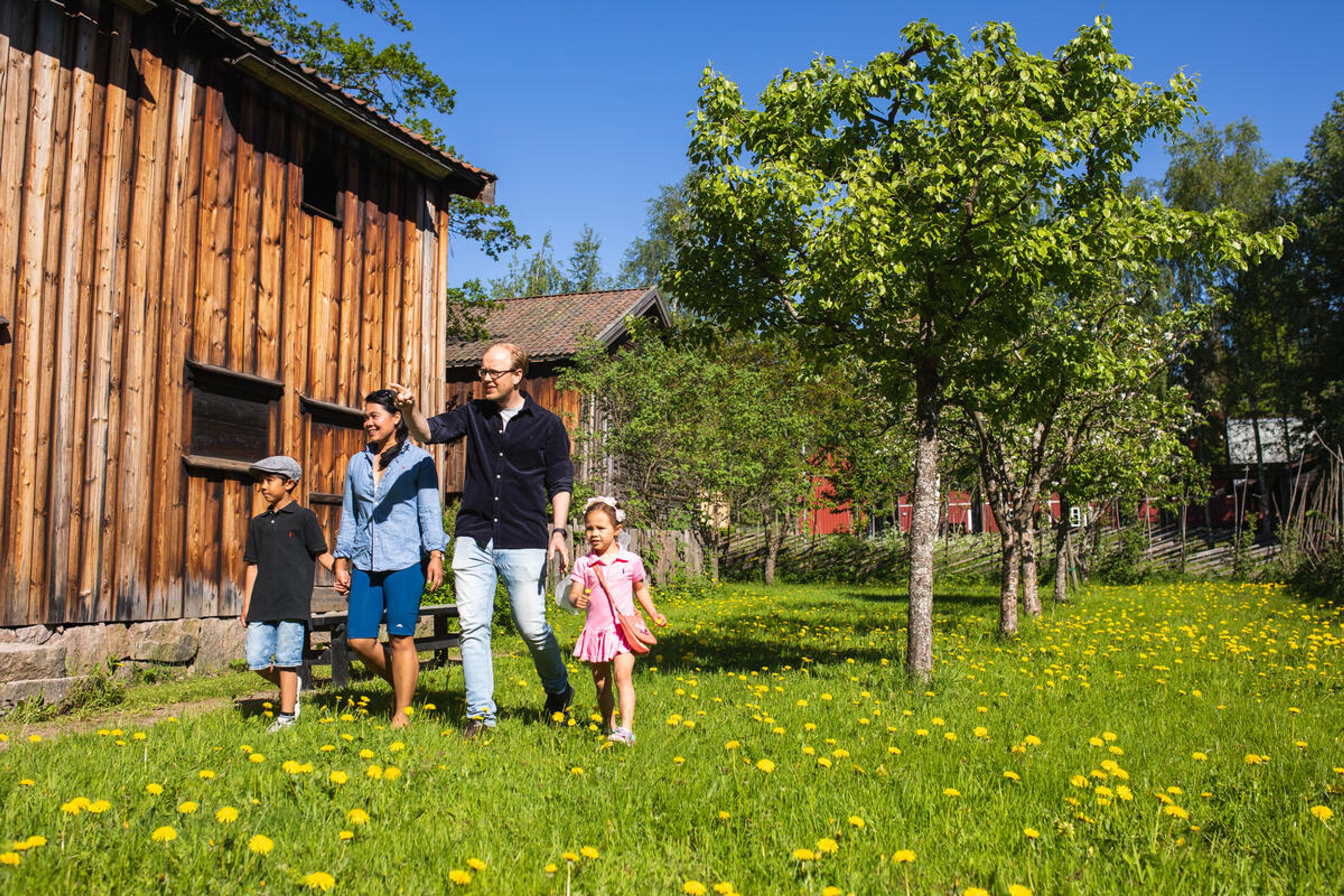 Familie på fire som går i sommerlig grønt gress langs gamle trehus på Norsk Folkemuseum