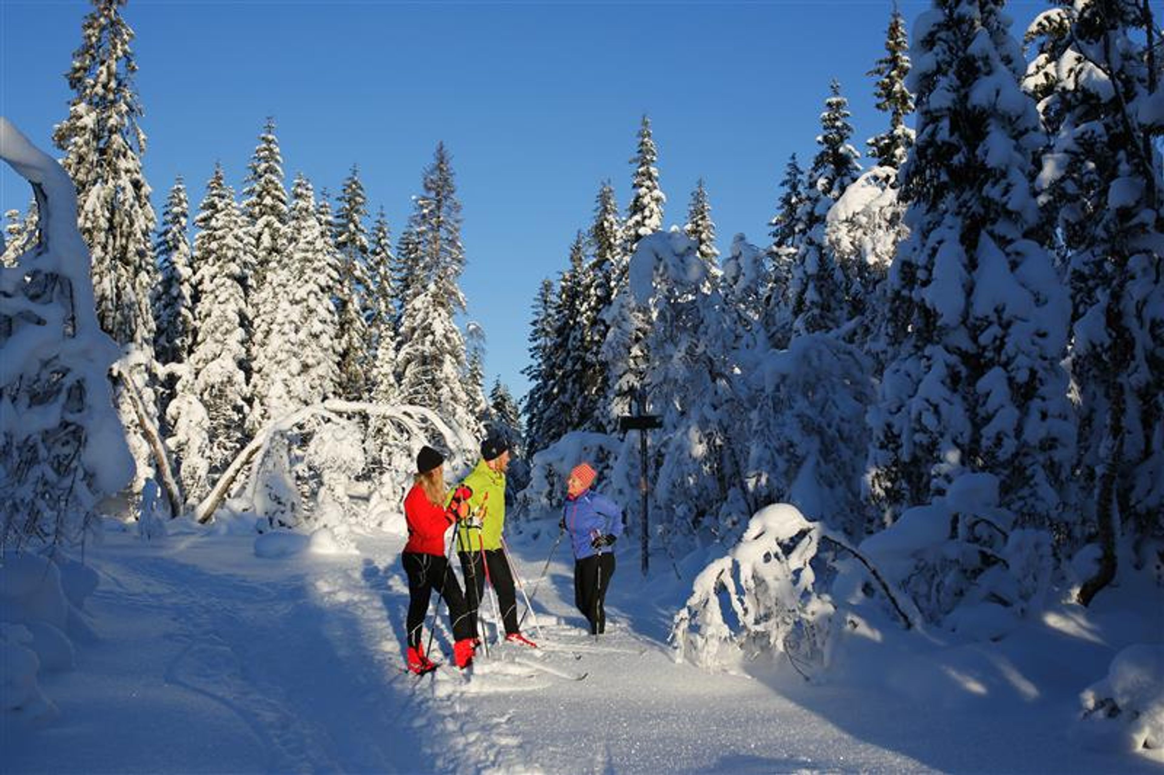 Bilde av tre personer på skitur i Marka.