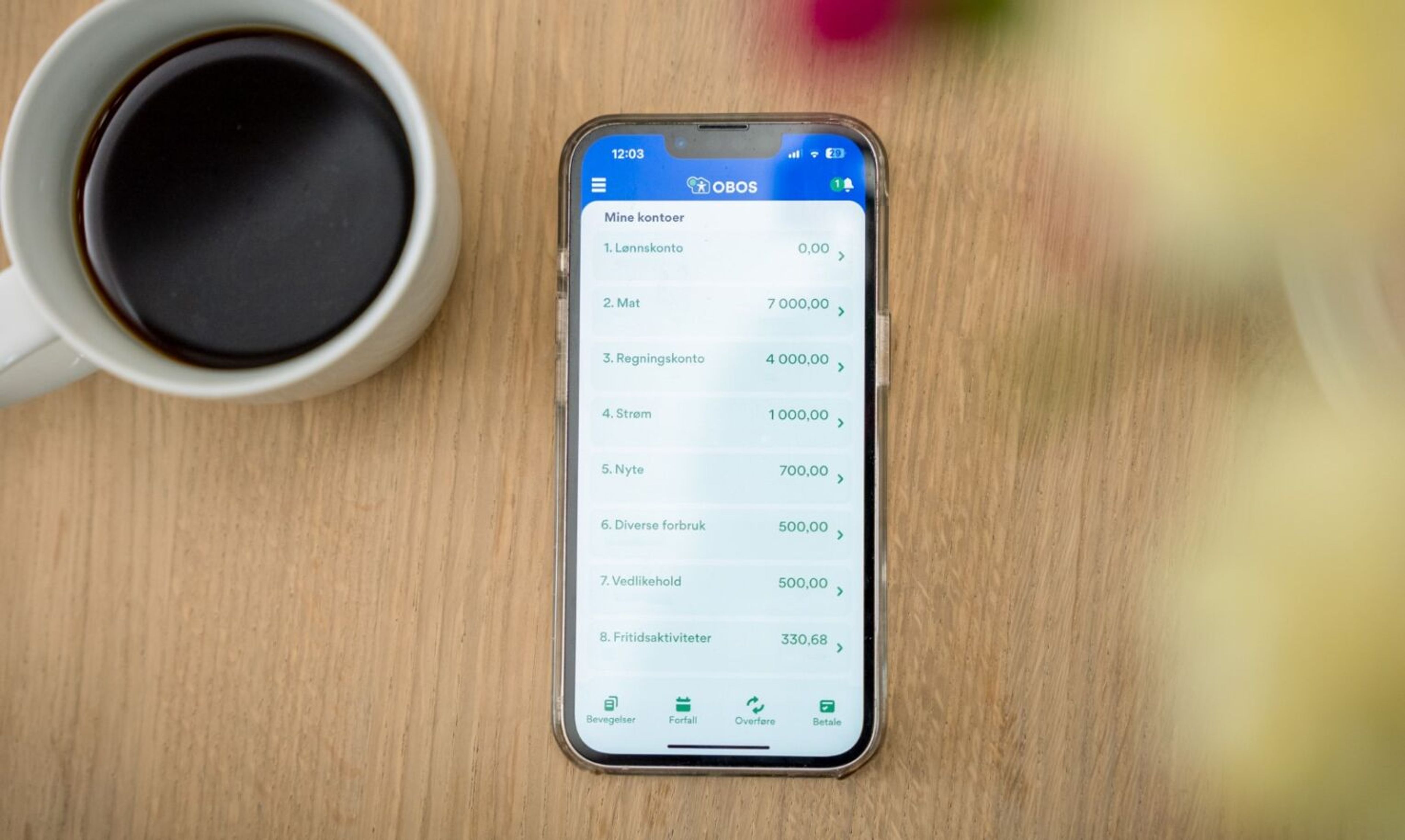 Mobilbank i bruk
