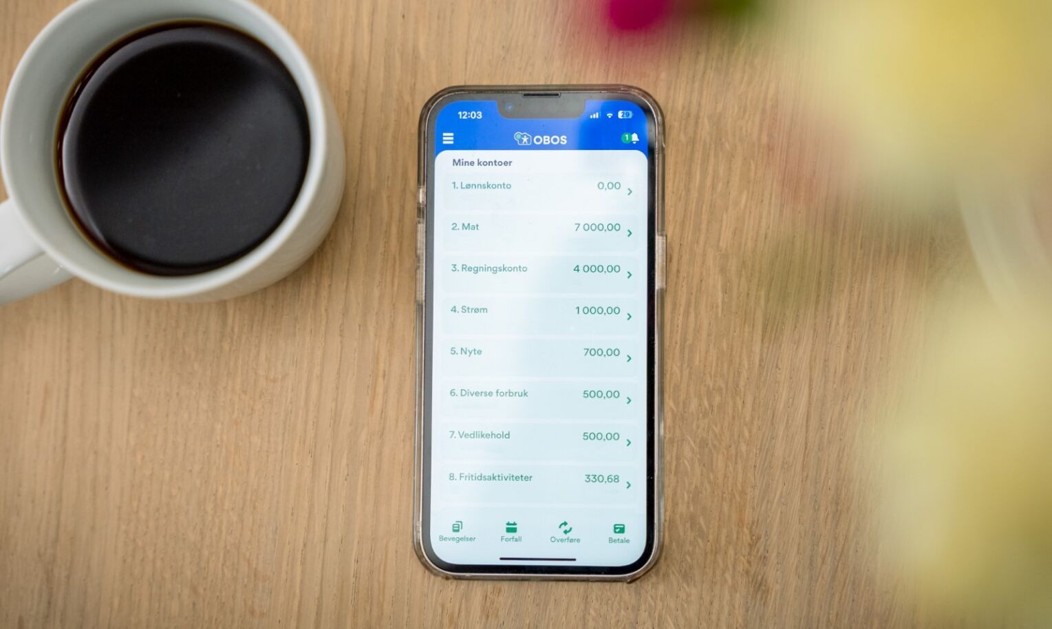 Mobilbank i bruk