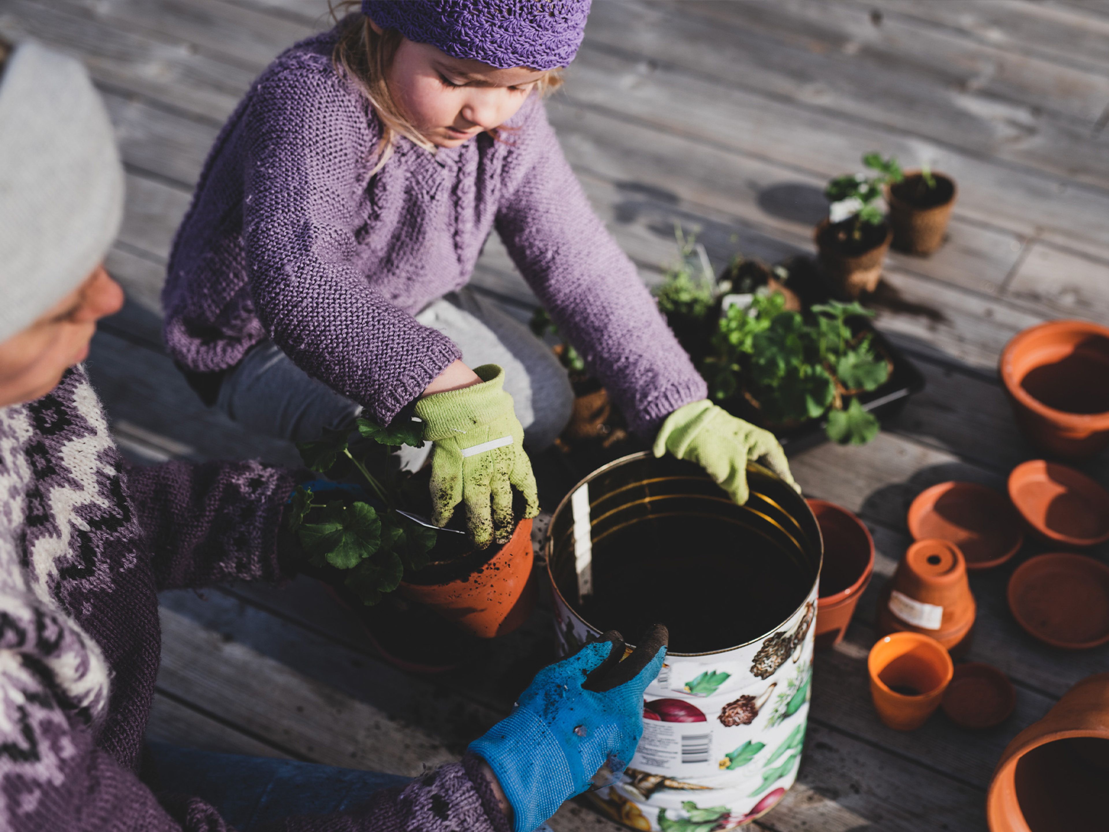 Ett barn planterar blommor i krukor