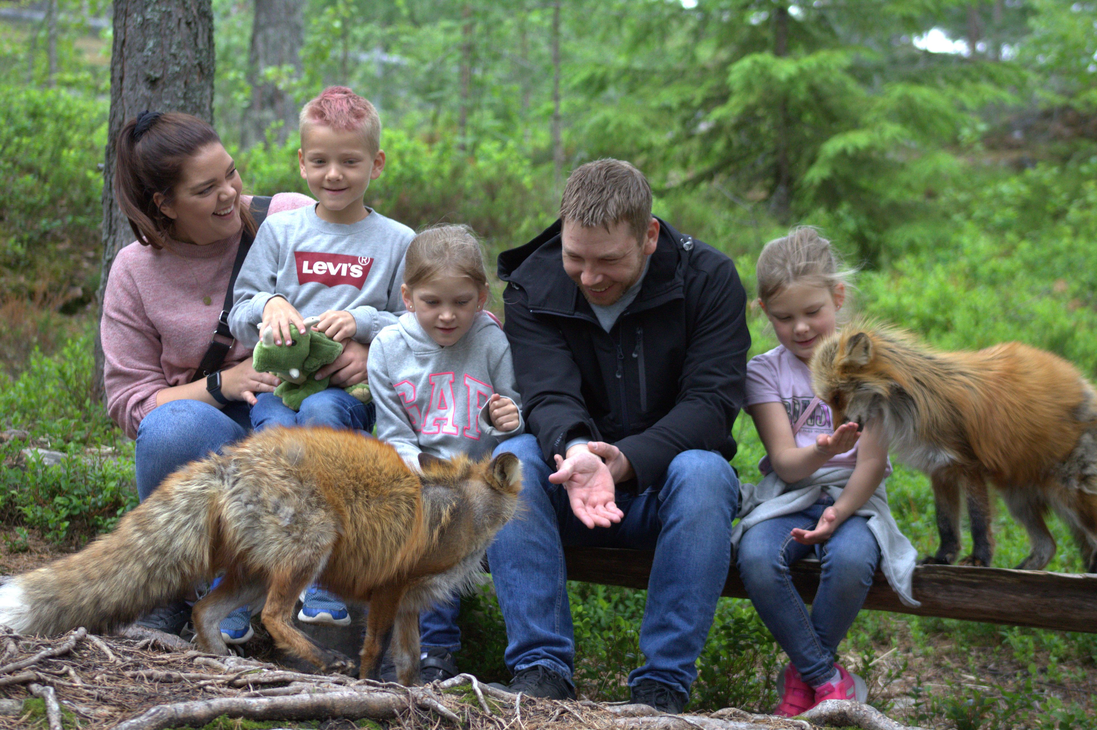 En familie på fem sitter ute og klapper rev. De er i Bjørneparken. De smiler og koser seg. Det er sko rundt dem.