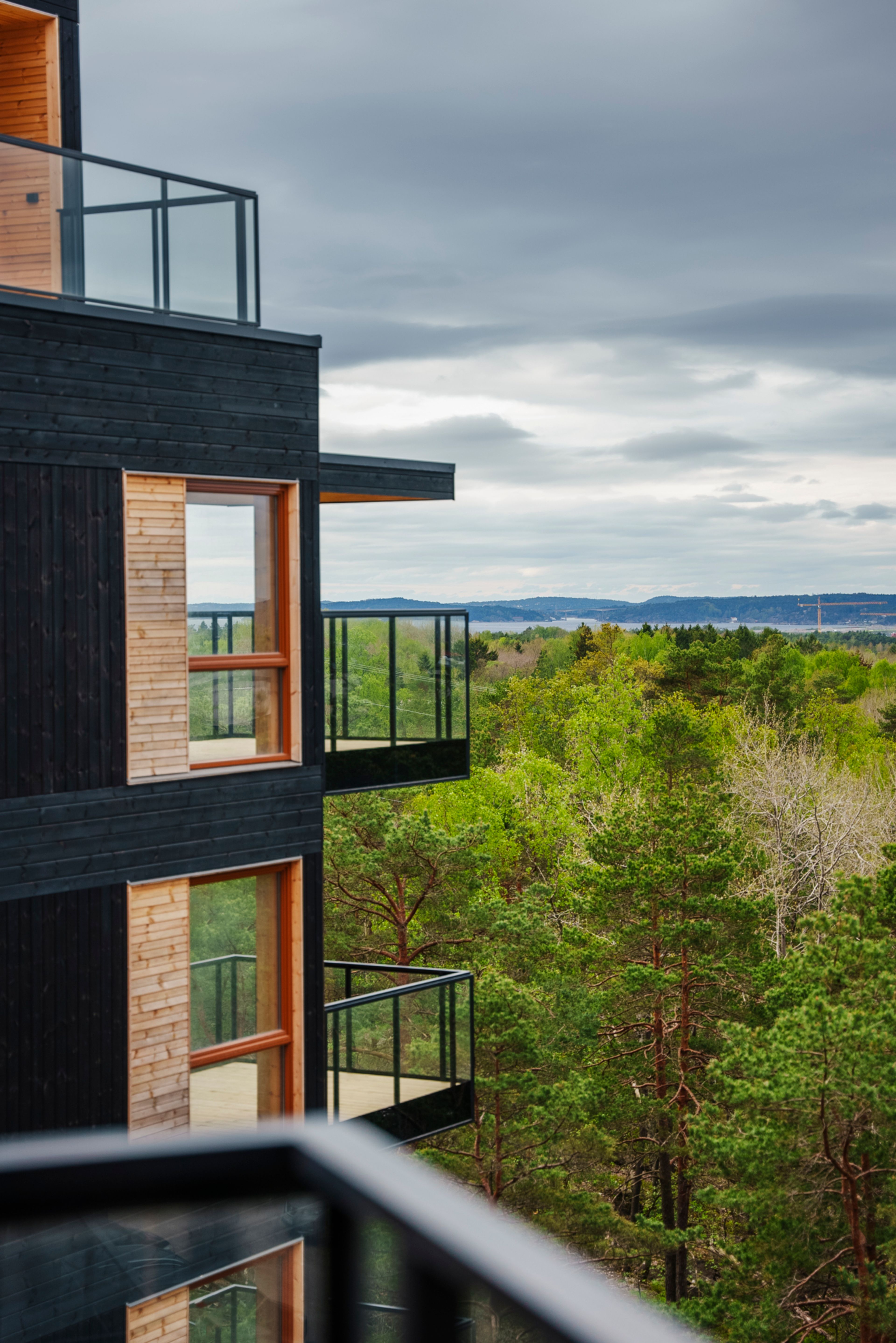 Den grønne utsikten til visningsleiligheten i Furukrona.