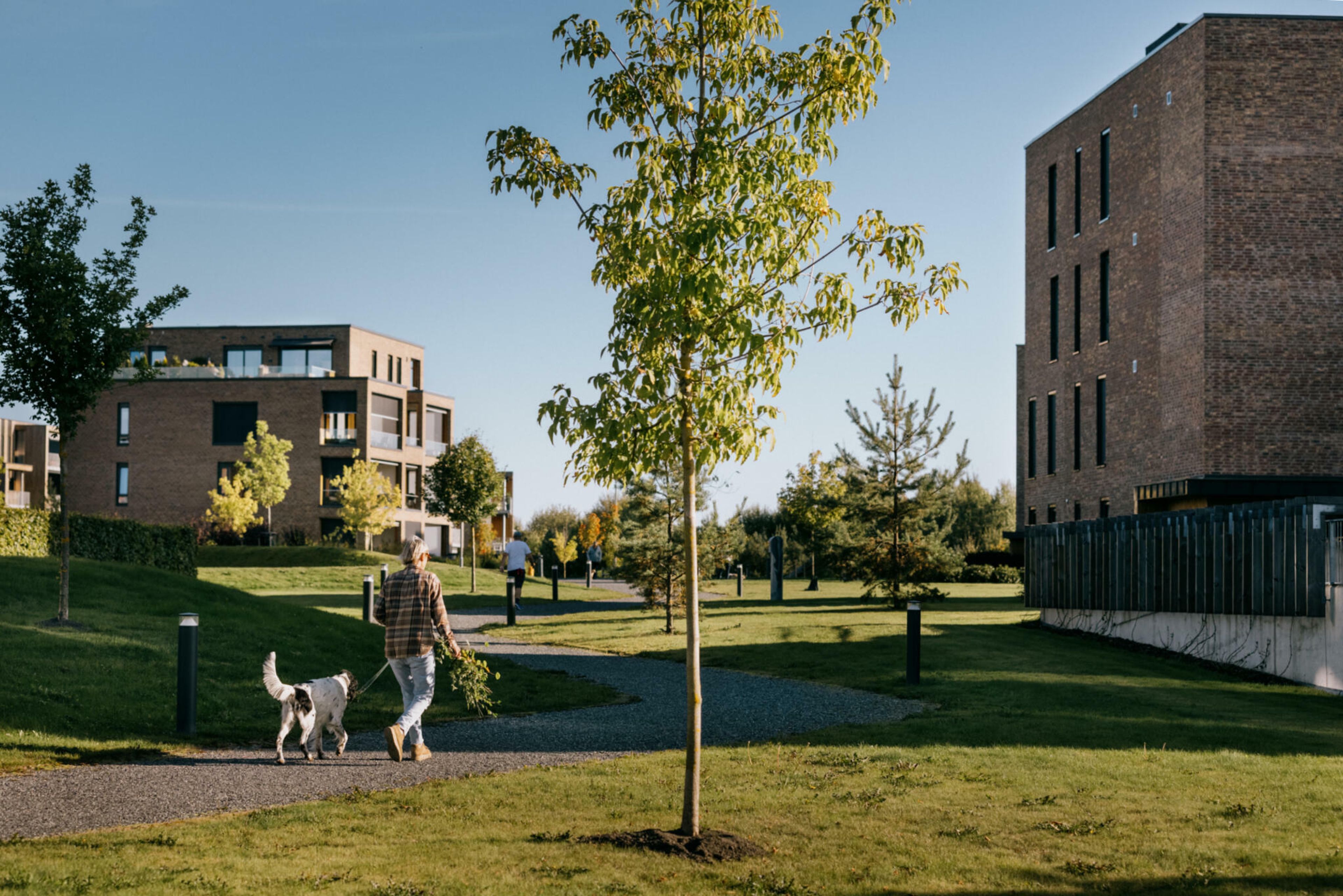 Bildet viser uteområder mellom boliger på Fornebu.
