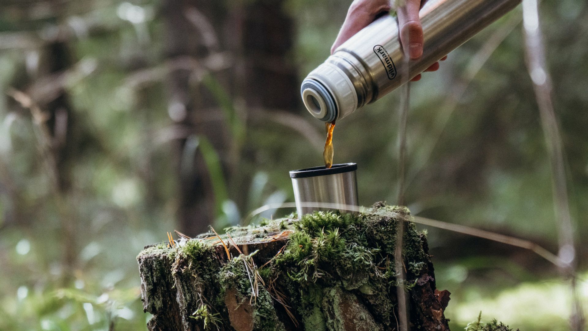 Kaffekopp i skog