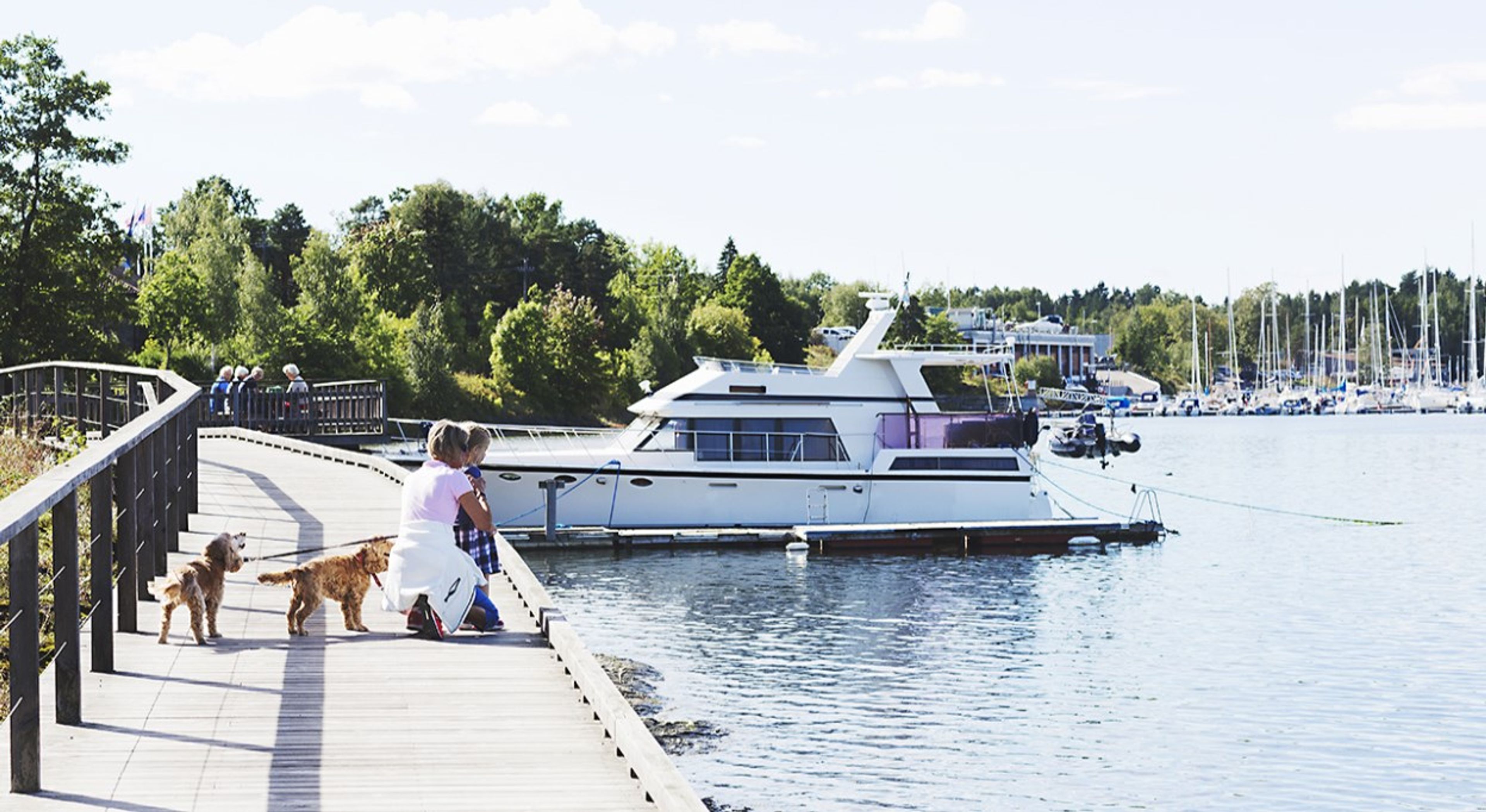 Bilde av en brygge med en mor og sønn, to hunder. Båter ligger inntil brygga.