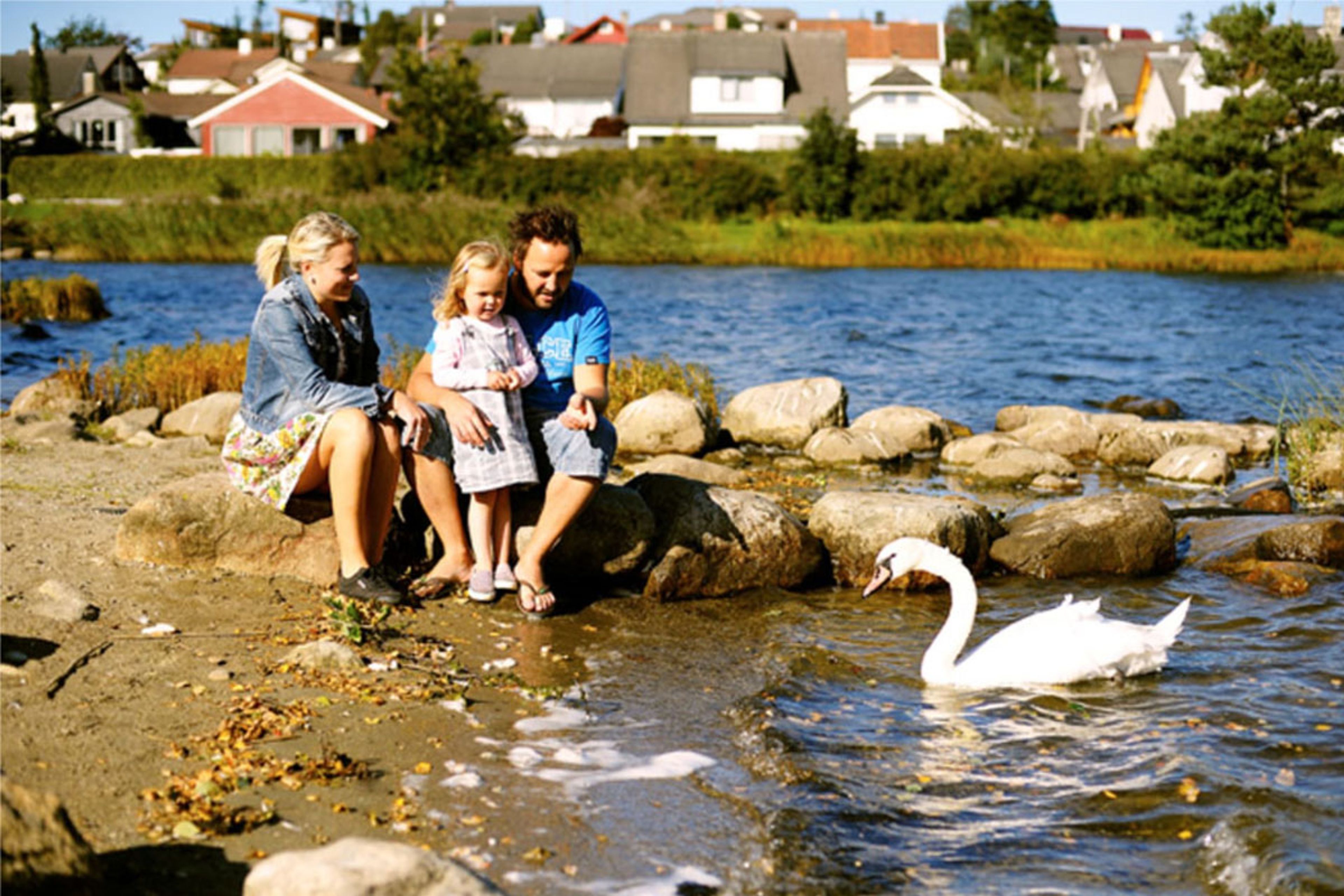 Fotografi med familie og svane ved Stokkalandsvannet