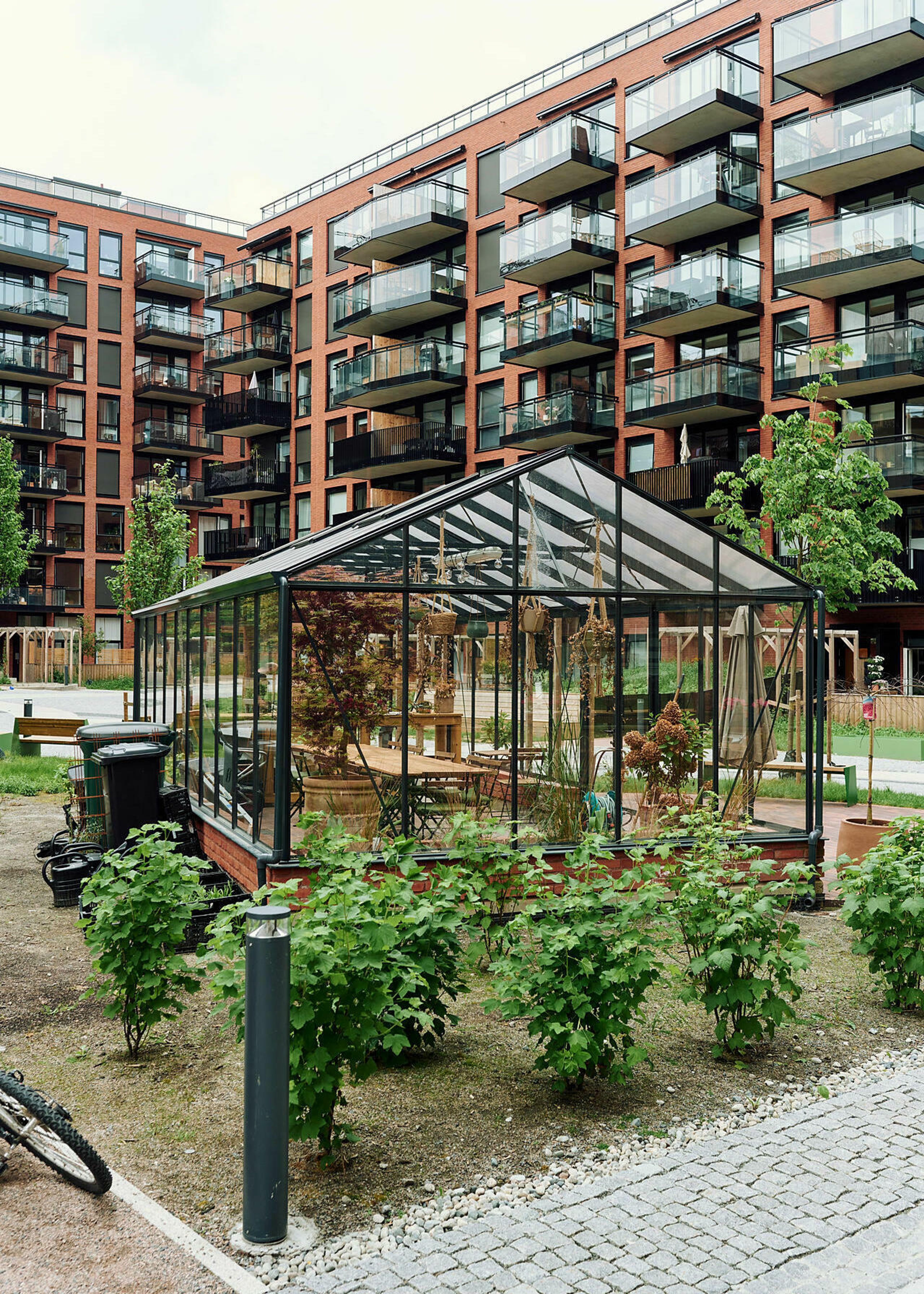 Drivhuset i bakgården i Løren botaniske